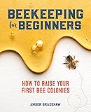Beekeeping for Beginners: How To Raise Your First Bee Colonies