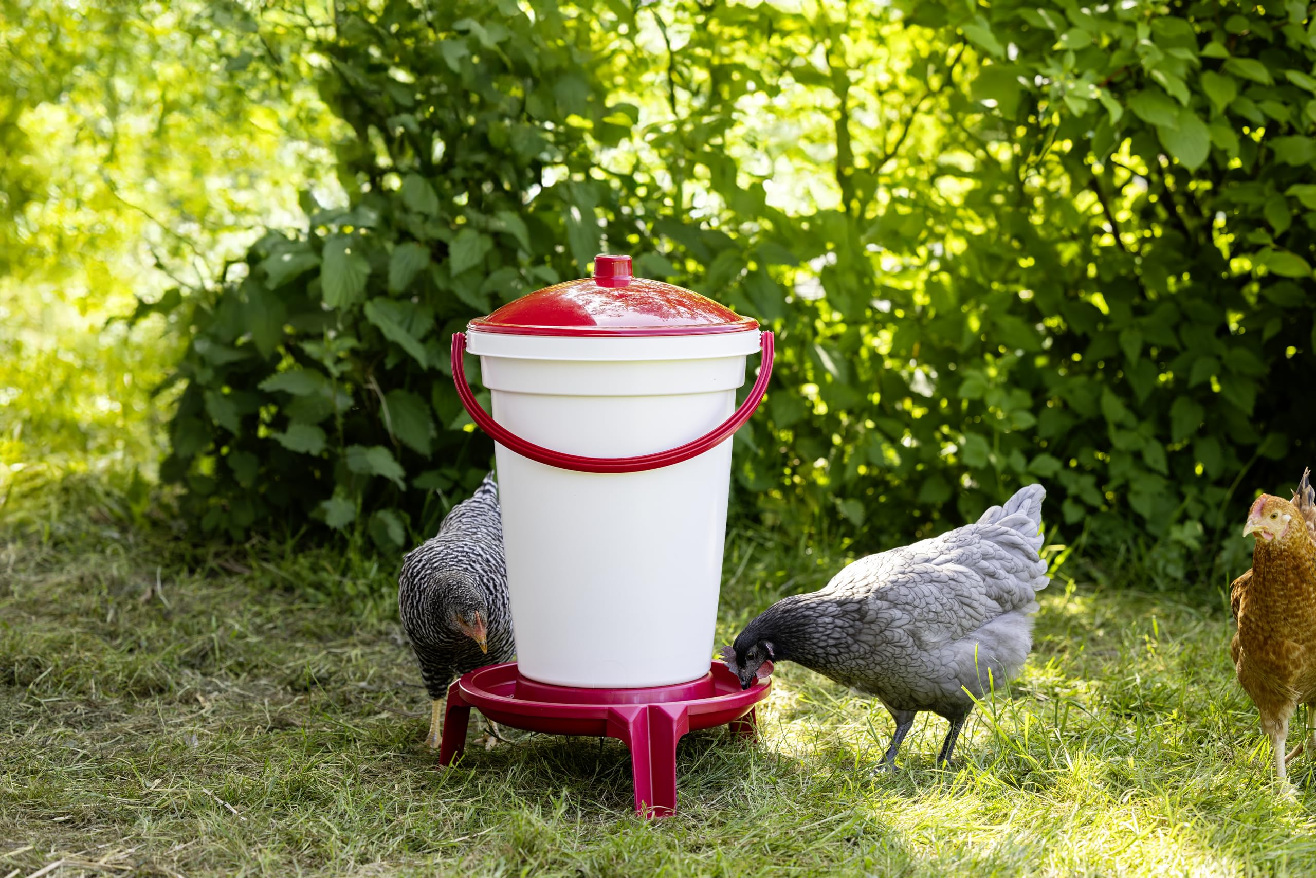 Kerbl 72265 Cubo Bebedero para Aves, 24 L
