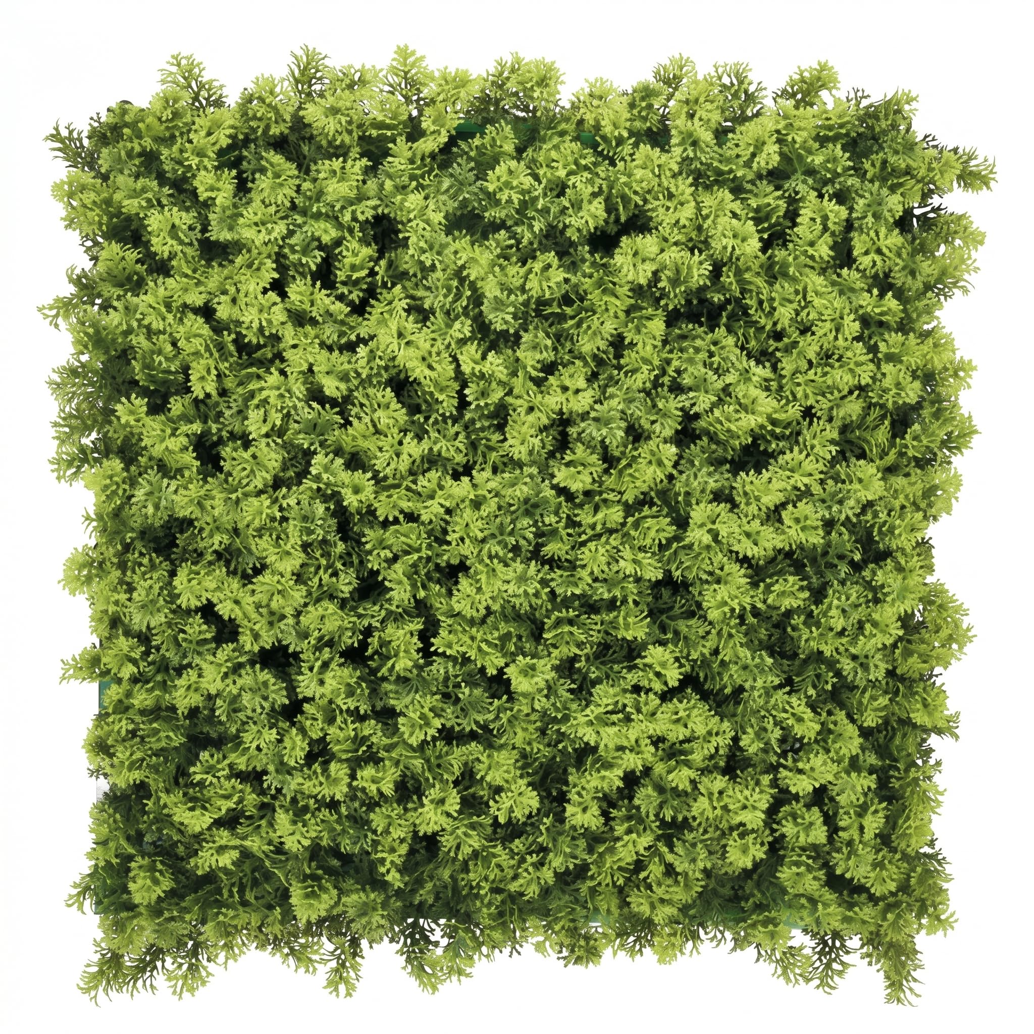 BONERVA Jardín Vertical Artificial Musgo 100x100 cm, 1m², Pack 4 Paneles 50x50 cm, Muro Vegetal Verde Decorativo Interior Exterior