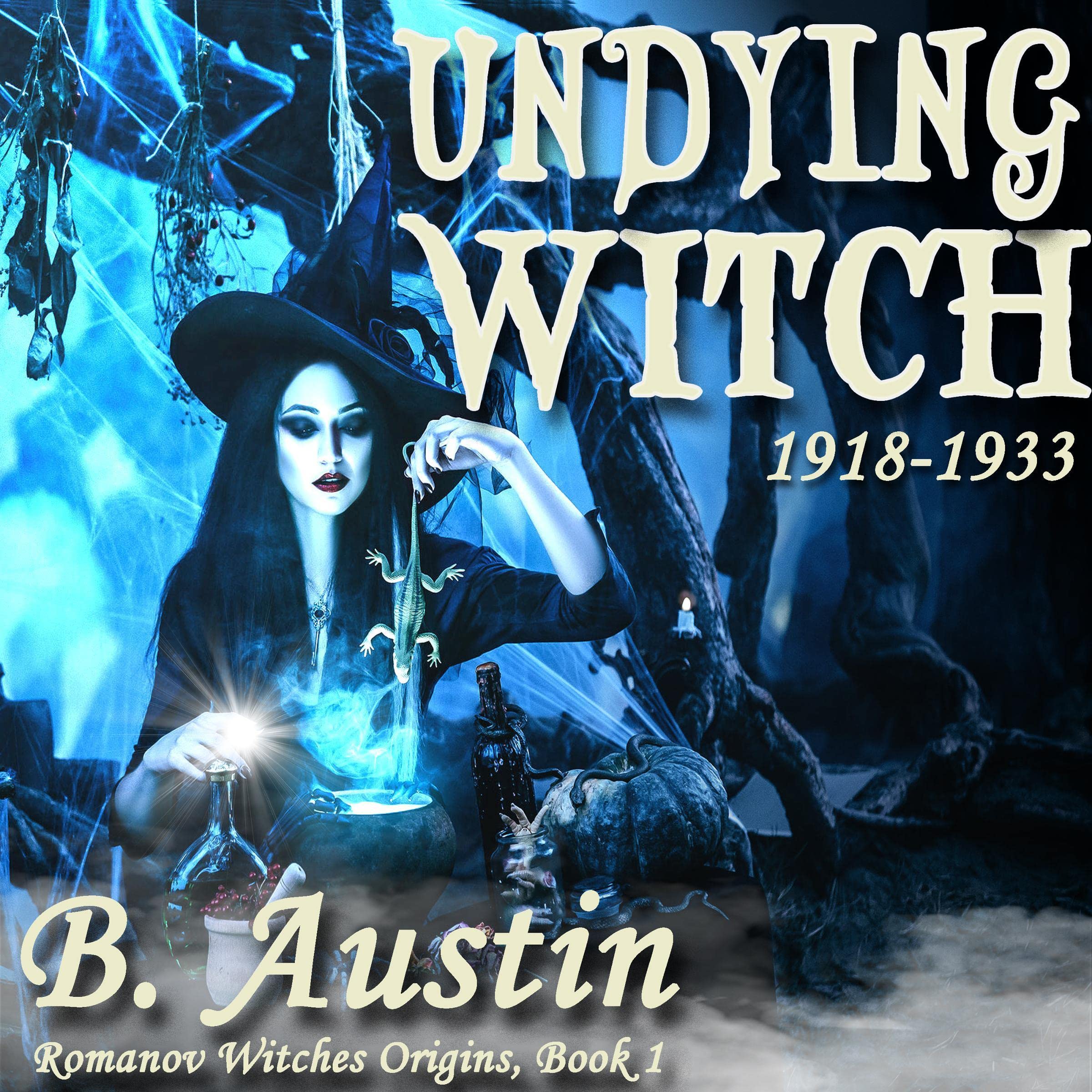 Cover art for Undying Witch