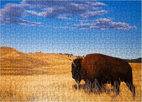 BisonBuffalo Running in The Rolling Hills of The Prairie - Rompecabezas prémium de 500 piezas para adultos