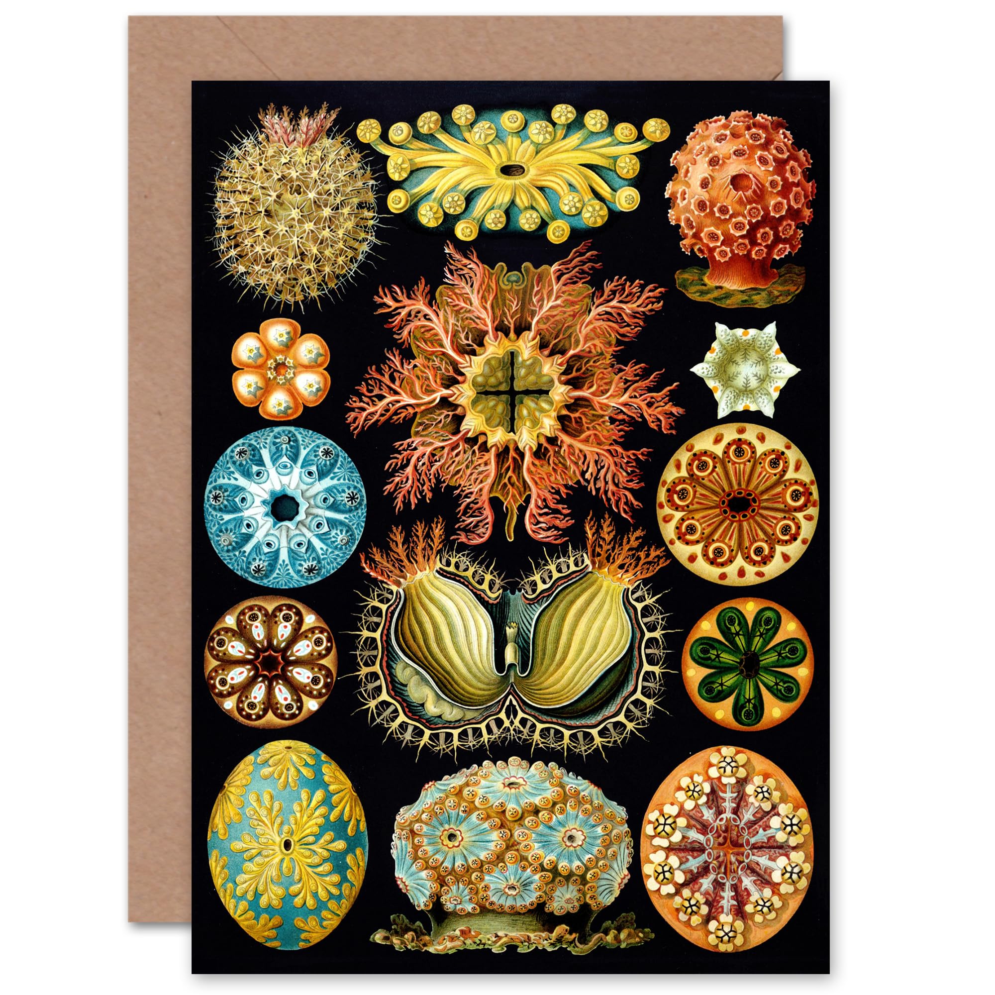 Artery8 Bright Botanical Marine Vintage Retro for Him or Her Man Woman for All Occasions Blank Art Greeting Card