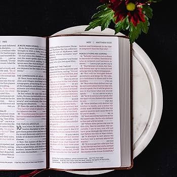 【送料込】新品未開封 スタートレック THE BIBLE Personalized NKJV Giant Print Center Column Reference Bible