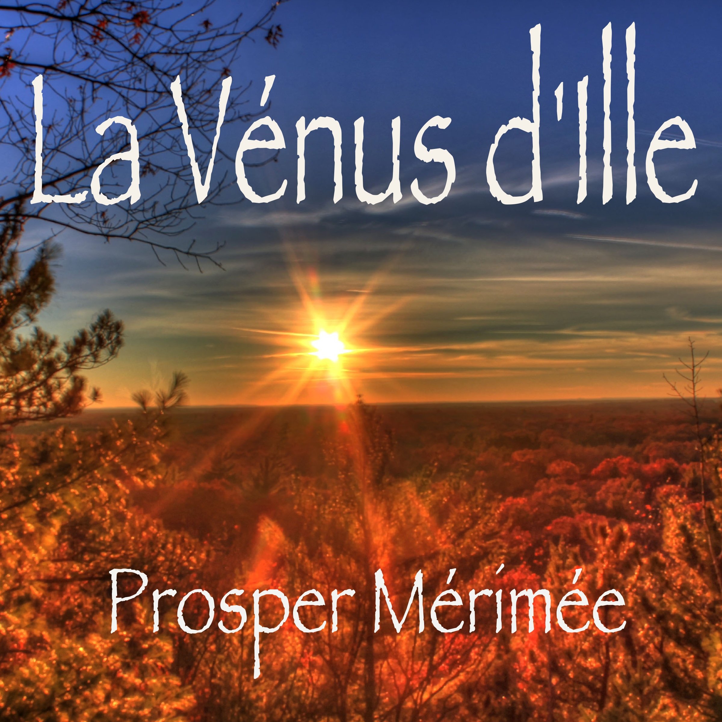 Cover art for La Vénus d'Ille