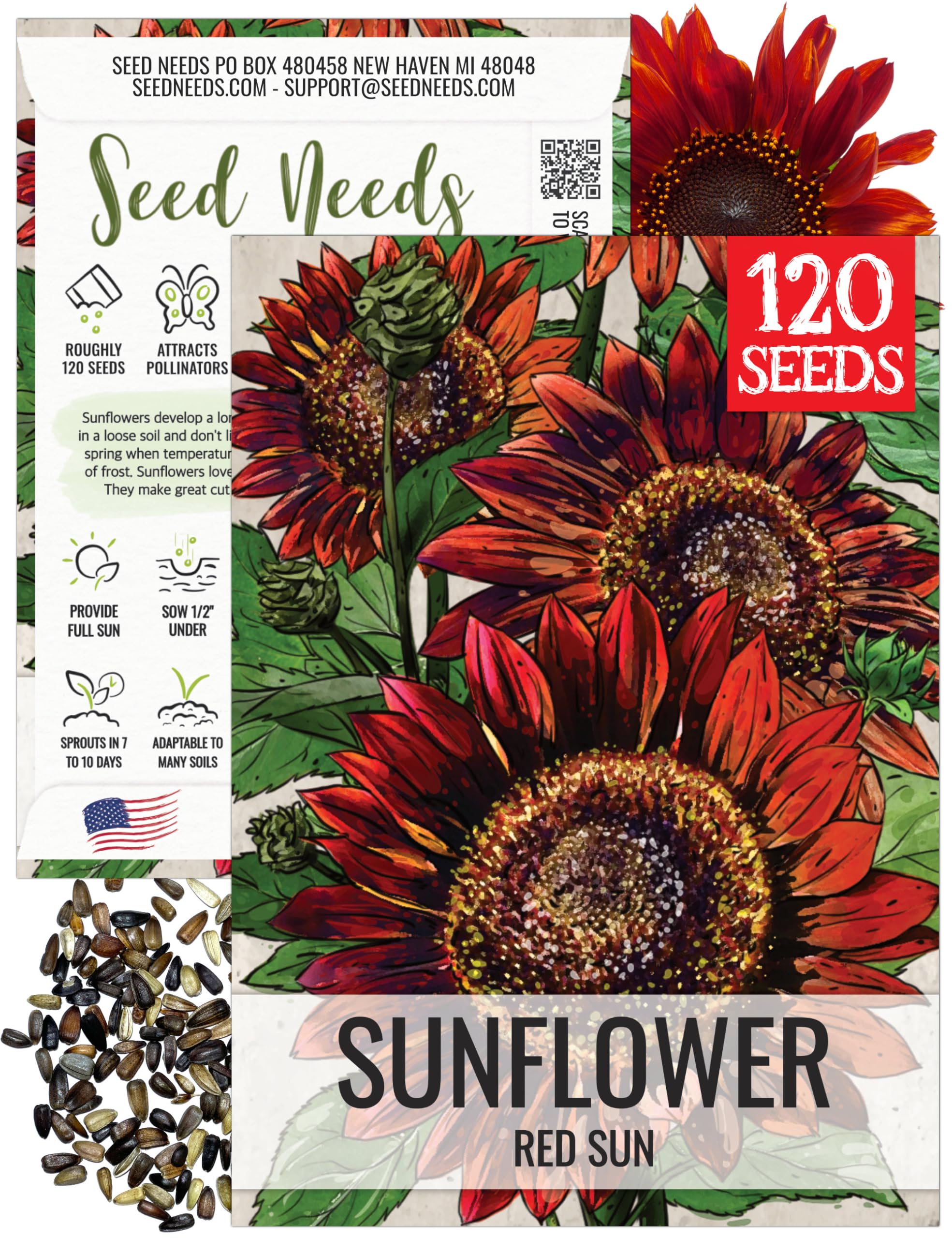 Amazon.com : Seed Needs Red Sun Sunflower Seeds for Planting