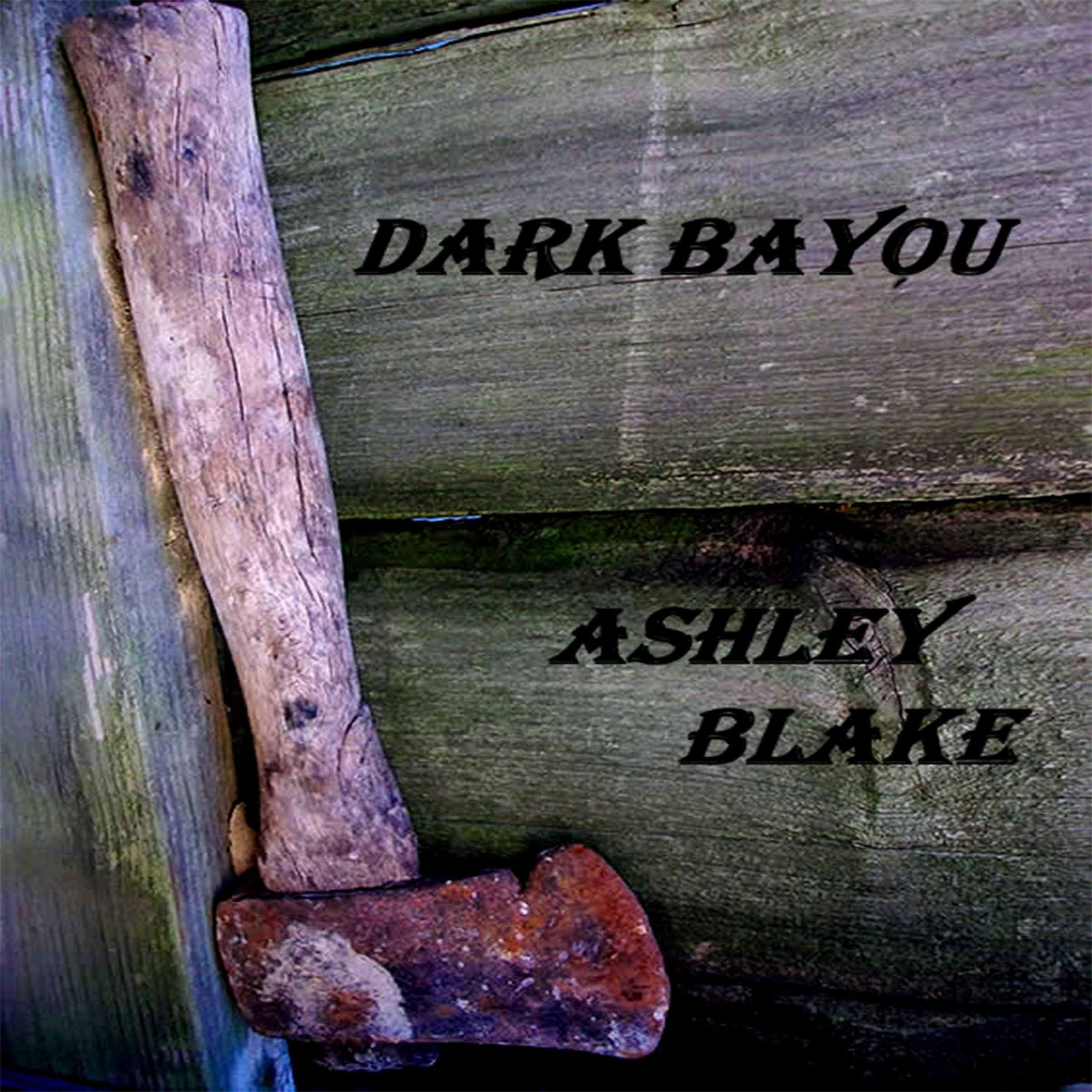 Dark Bayou