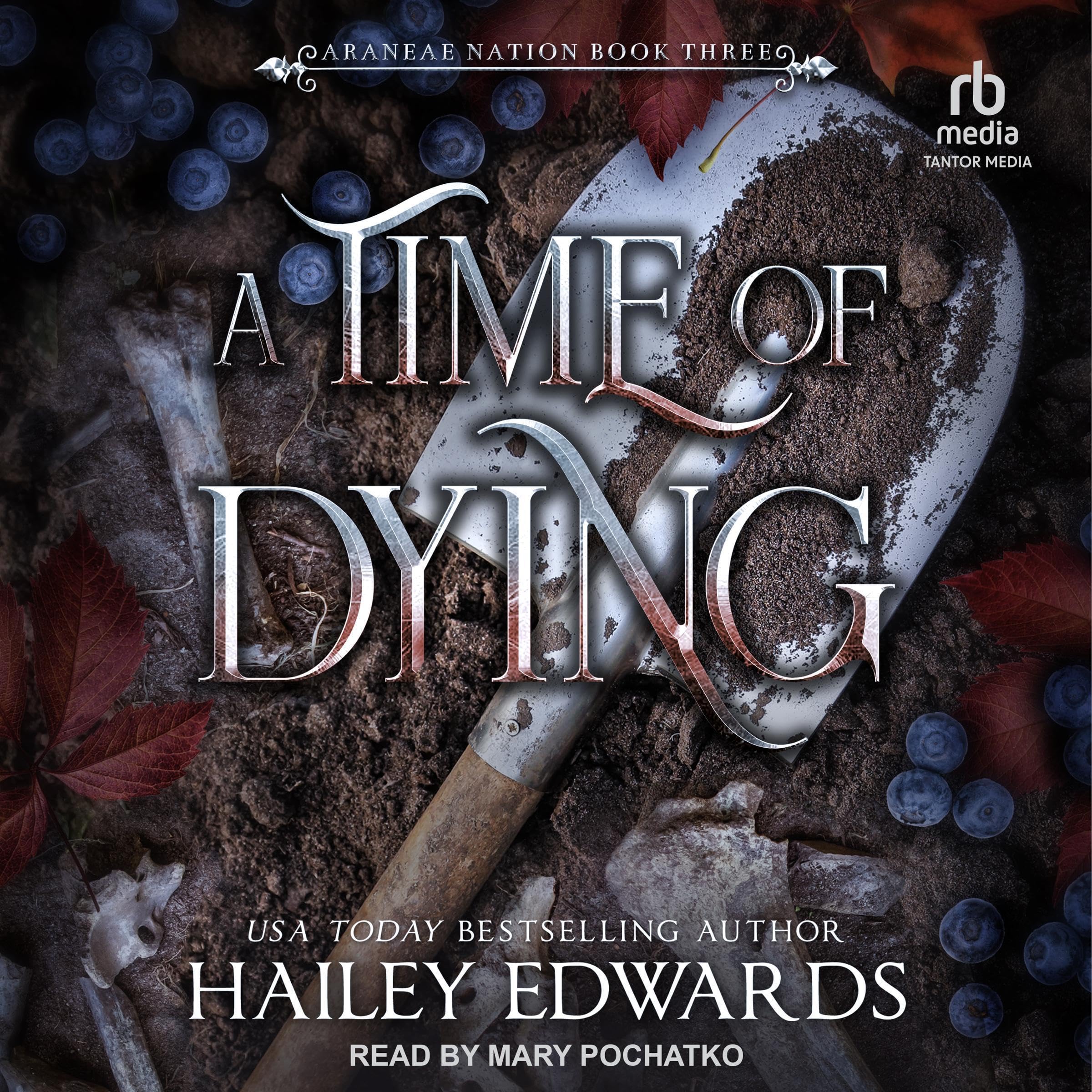 Cover art for A Time of Dying