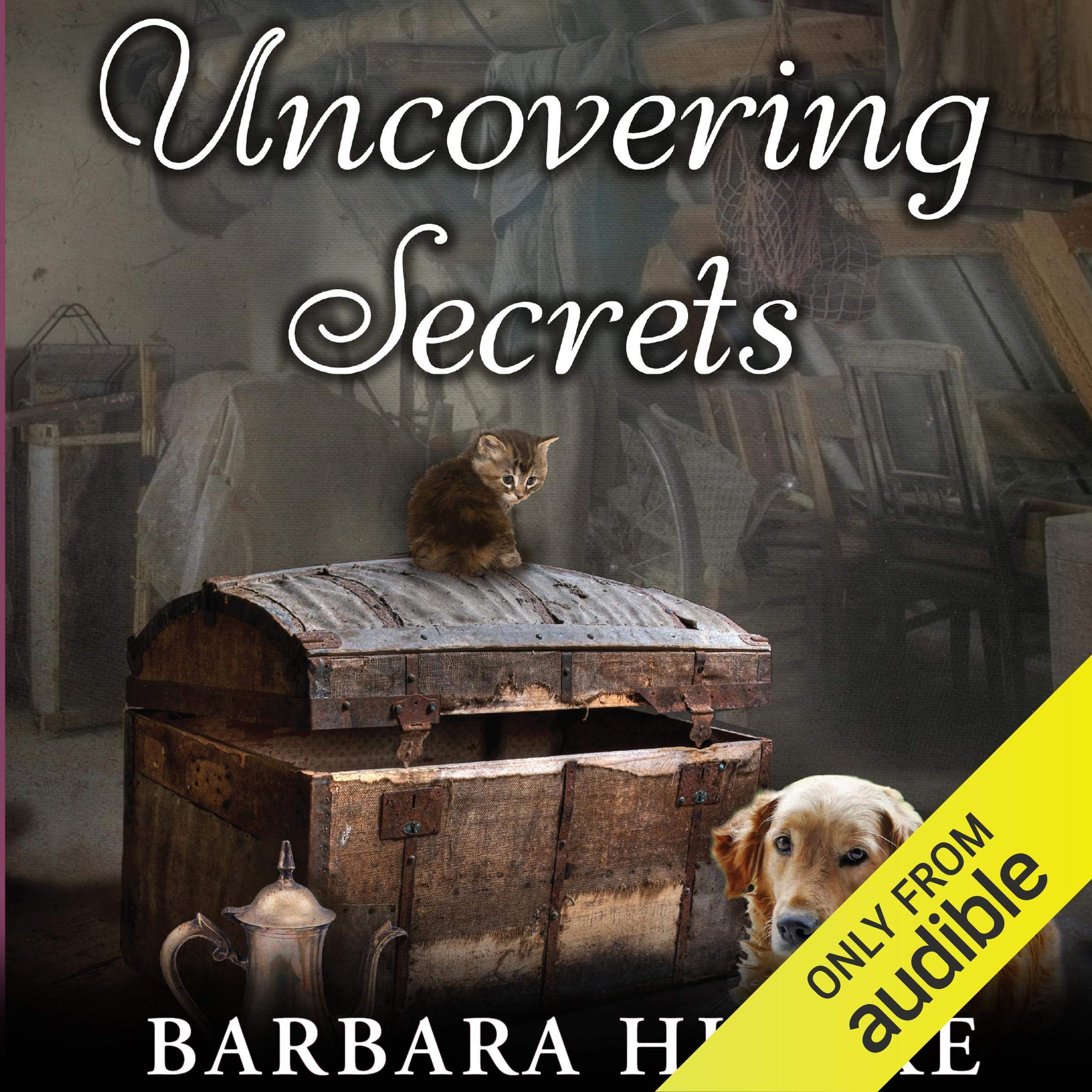 Cover art for Uncovering Secrets