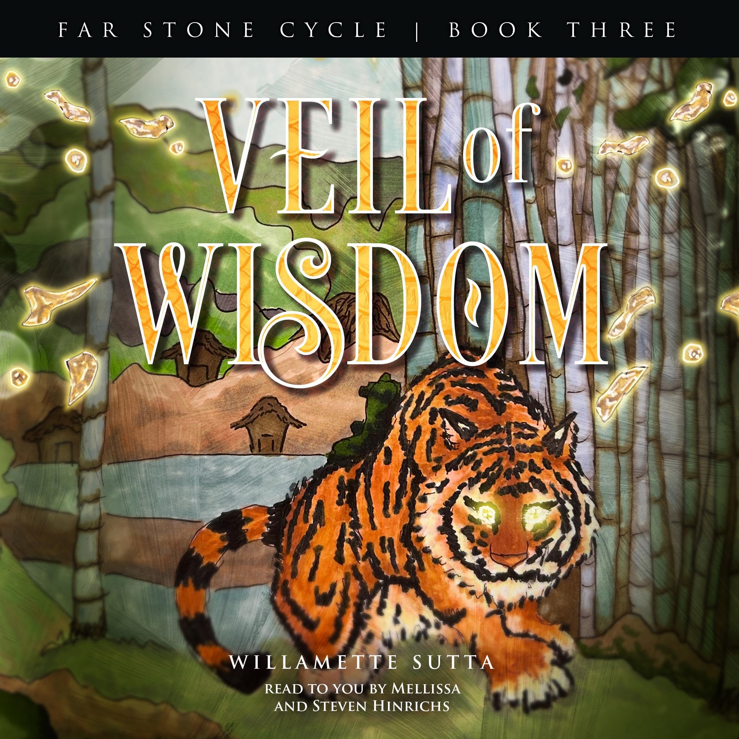 Cover art for Veil of Wisdom