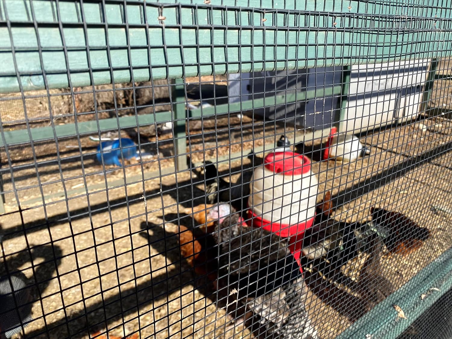 23 Gauge Vinyl Coated Wire Mesh Roll, Hardware Cloth (50 ft x 2 ft x 1/4 in)