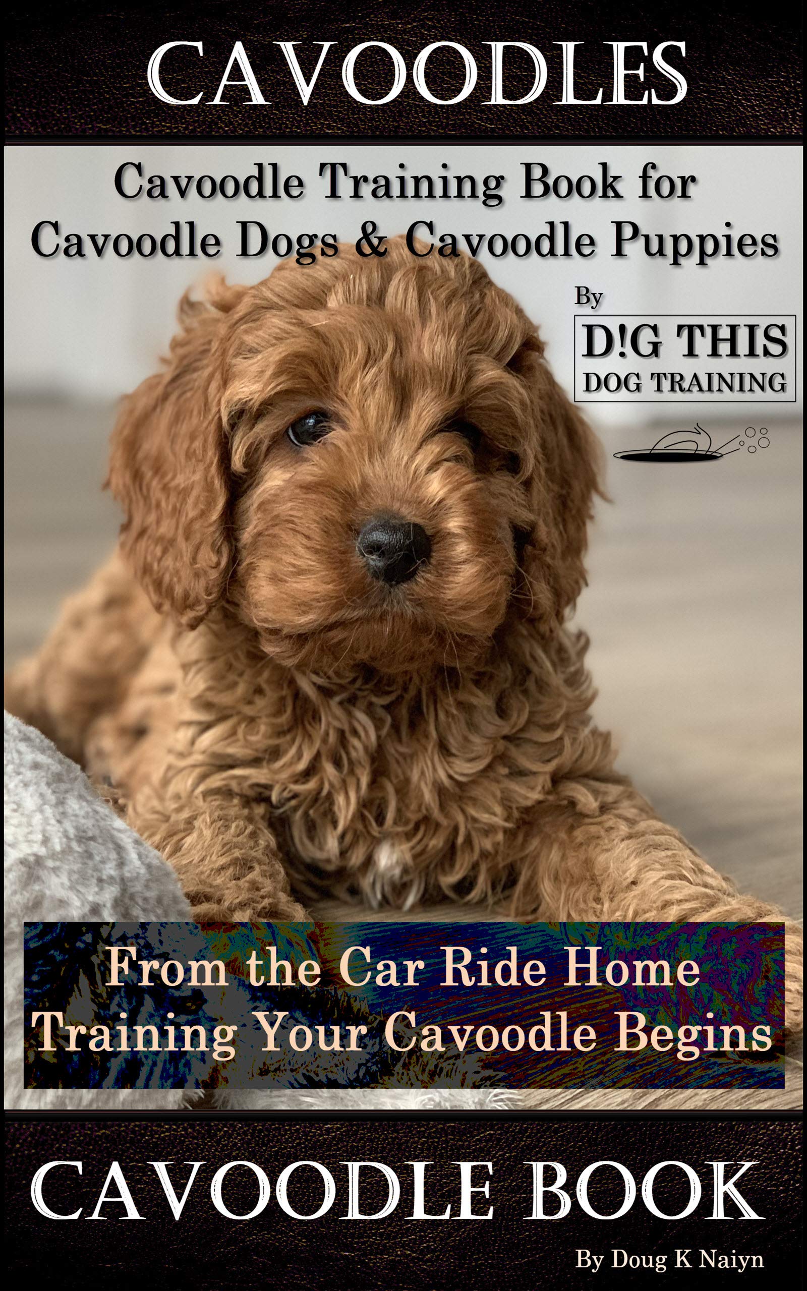 Cavoodles, Cavoodle Training Book for Cavoodle Dogs & Cavoodle Puppies By D!G THIS DOG Training, From the Car Ride Home Training Begins, Cavoodle Book