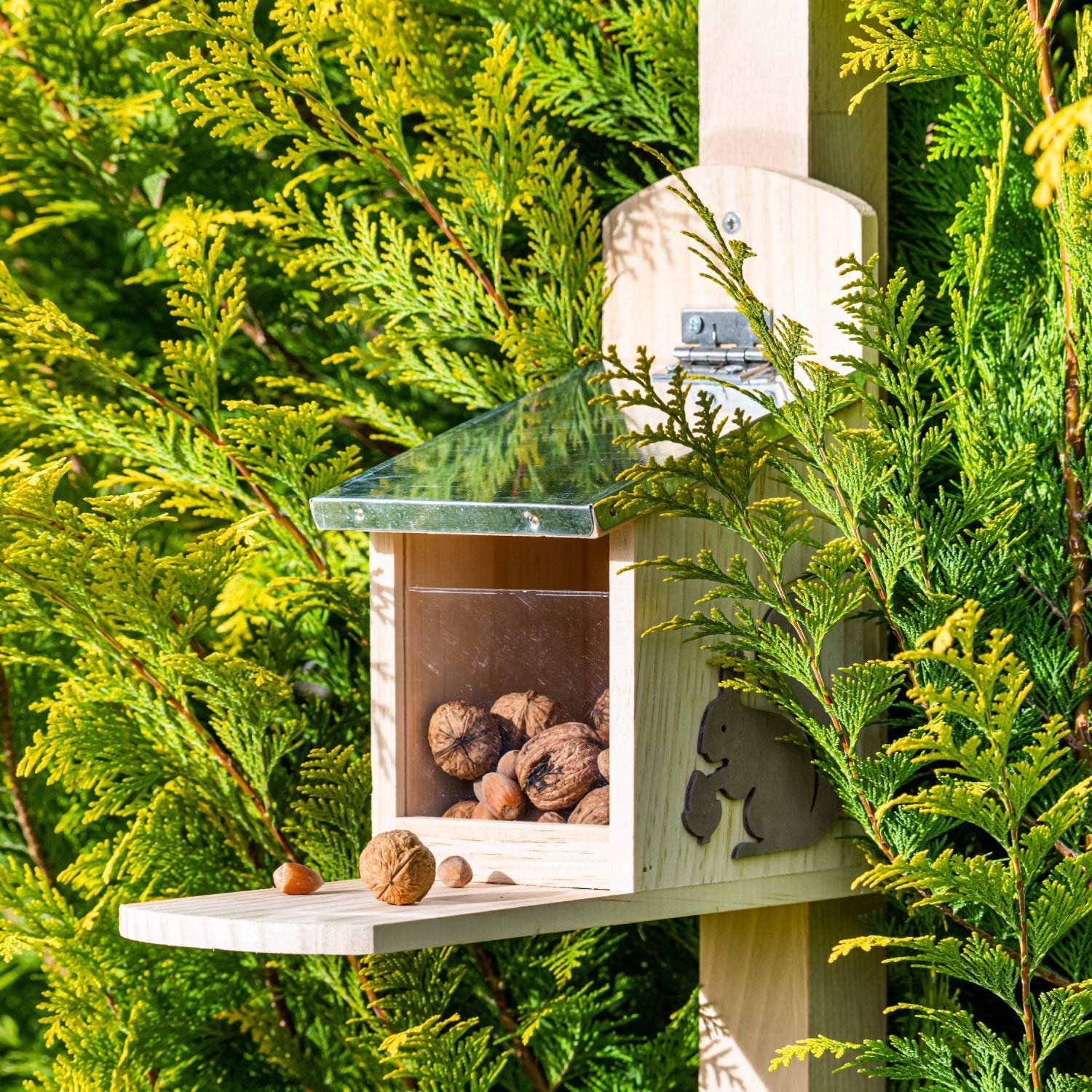 Mangiatoia per scoiattoli da Giardino, casetta in Legno per scoiattolini, Accessori per scoiattoli, 24.5x11x29 cm