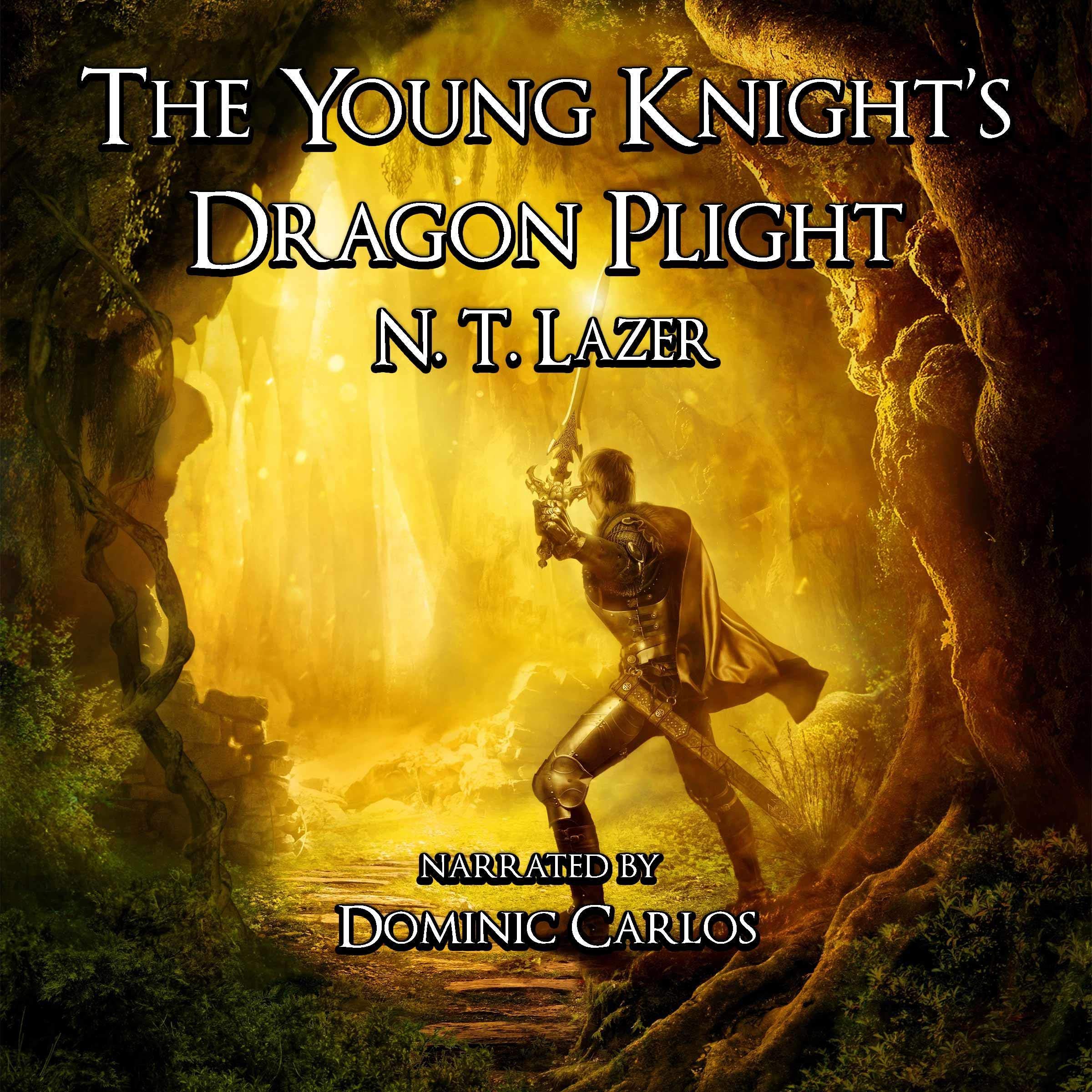 The Young Knight's Dragon Plight