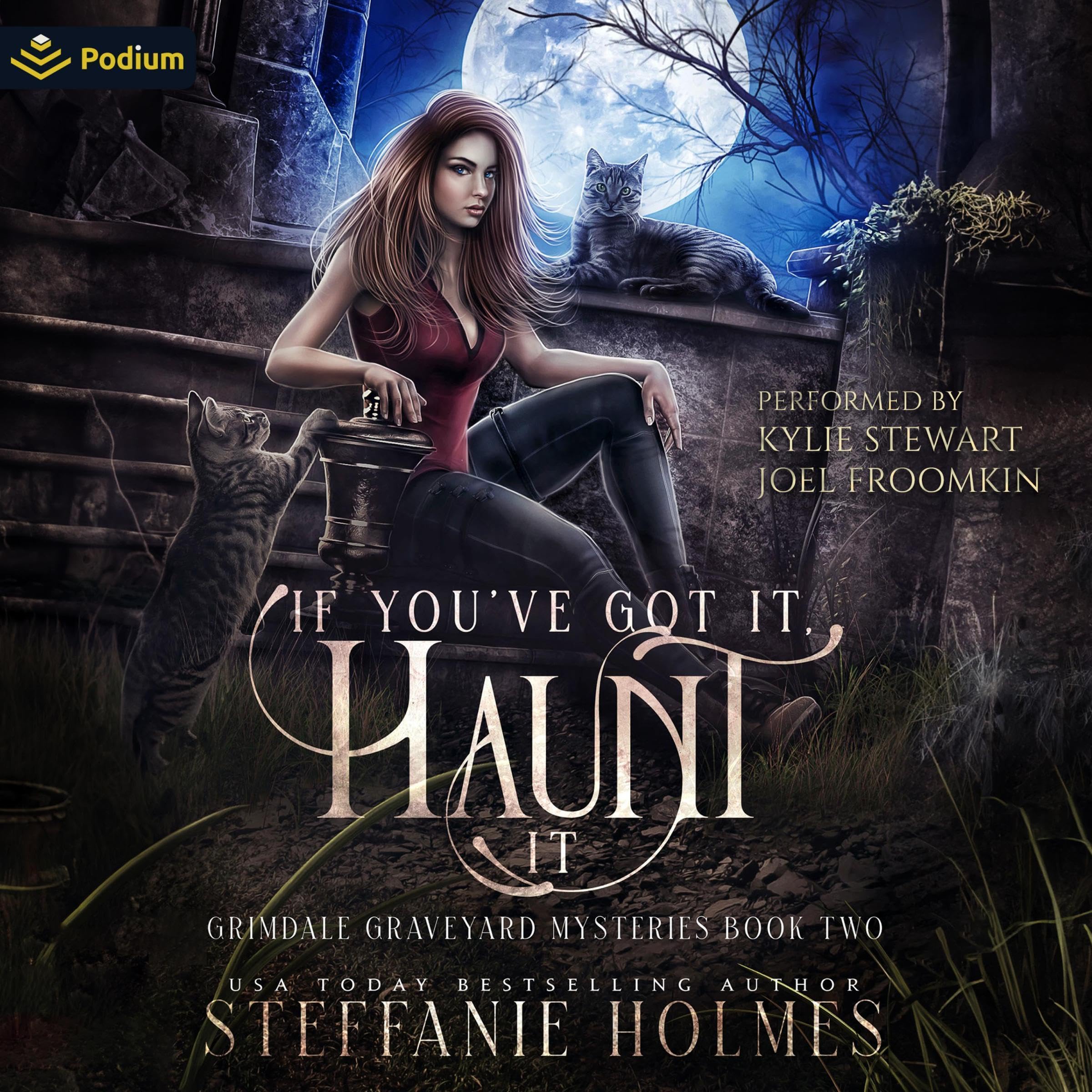 Cover art for If You've Got It, Haunt It