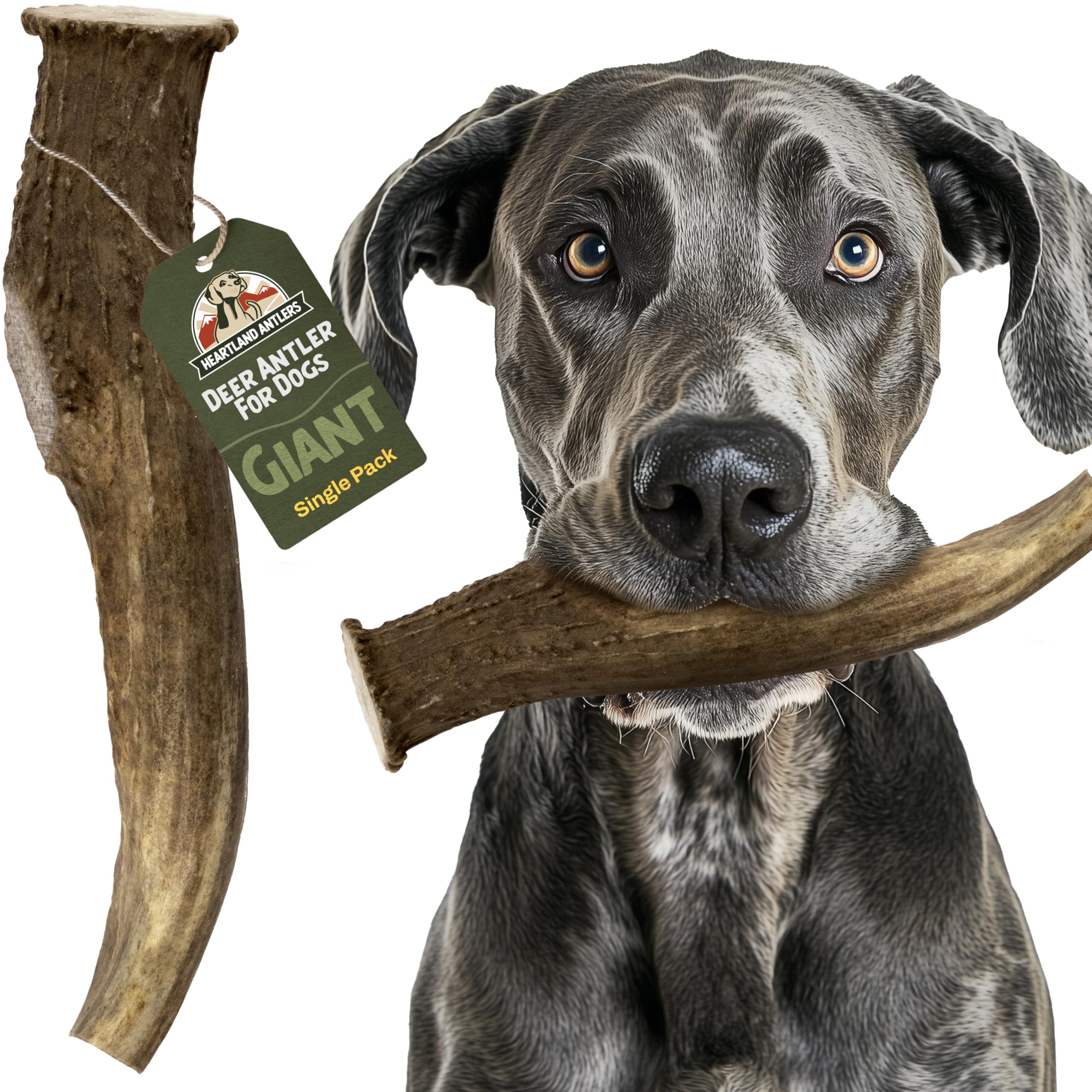 Heartland Deer Antlers for Dogs - Daily Dental Care Chews for Aggressive Chewers to Reduce Plaque & Prevent Destructive Behavior (Giant, 9+", 1-Pack,