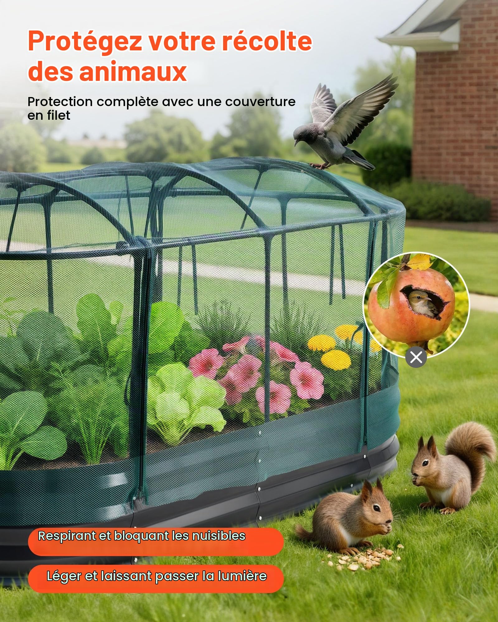 VEVOR Potager Surélevé Métal 180x90x30 cm Carré Potager Surélevé à Arrosage Auto Lit de Jardin Ovale pour Culture Légumes Fleurs, Fond Ouvert, Galvanisé Aluminium-Zinc, avec Housse Filet, Gris Foncé