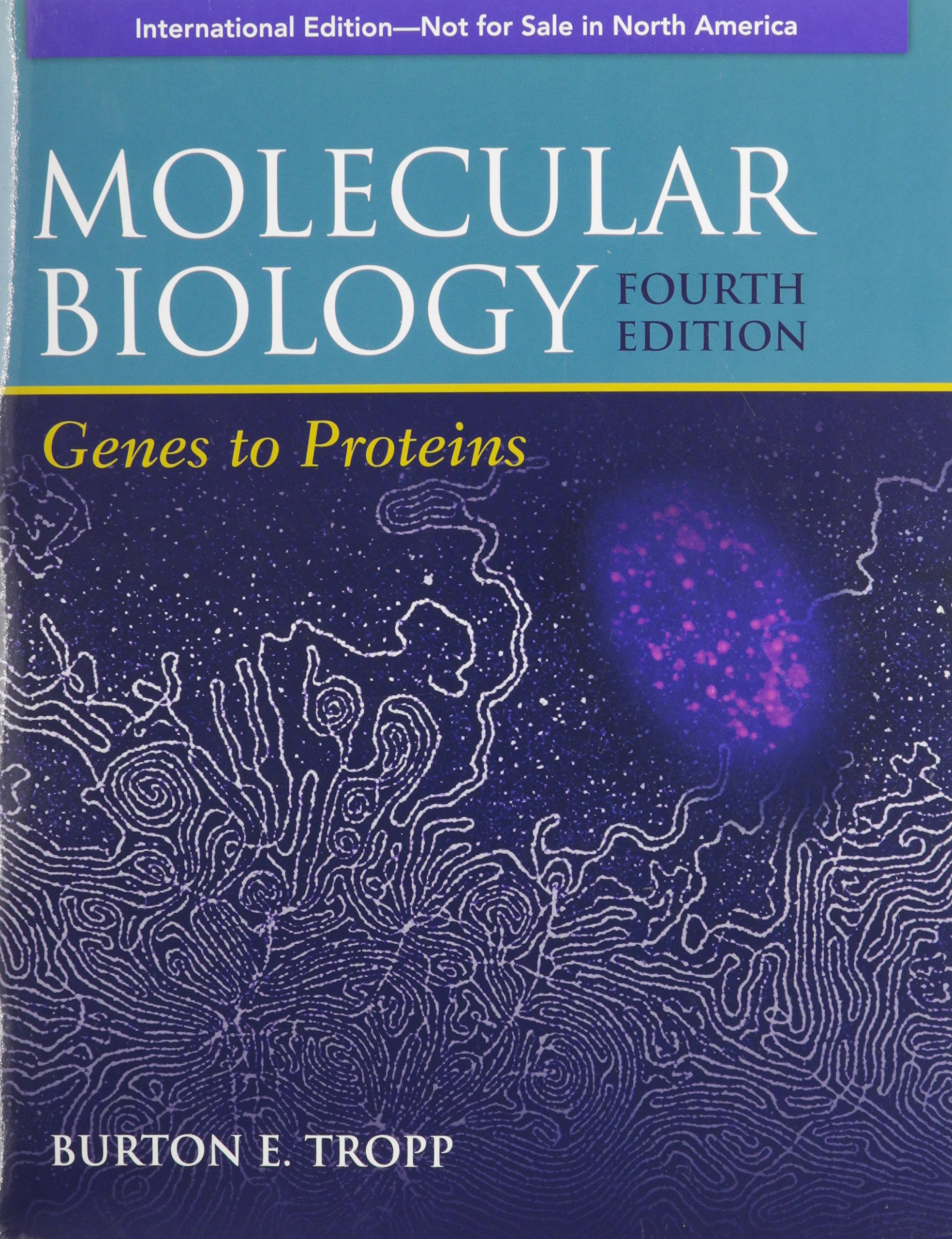 Molecular Biology 4e Genes to Proteins: Genes to Proteins Internation Edition (Biological Science)
