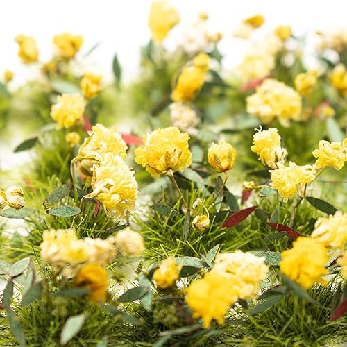 Miniatura 4 de 40 unidades de grupos de vegetación de flores en racimo de flores, modelo de paisaje estático en miniatura para bricolaje de arquitectura, modelo de