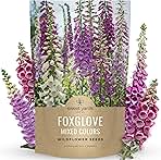 Foxglove Mixed Colors - Bulk 2 Ounce Pouch - 500,000 Flower Seeds for Planting - Digitalis purpurea