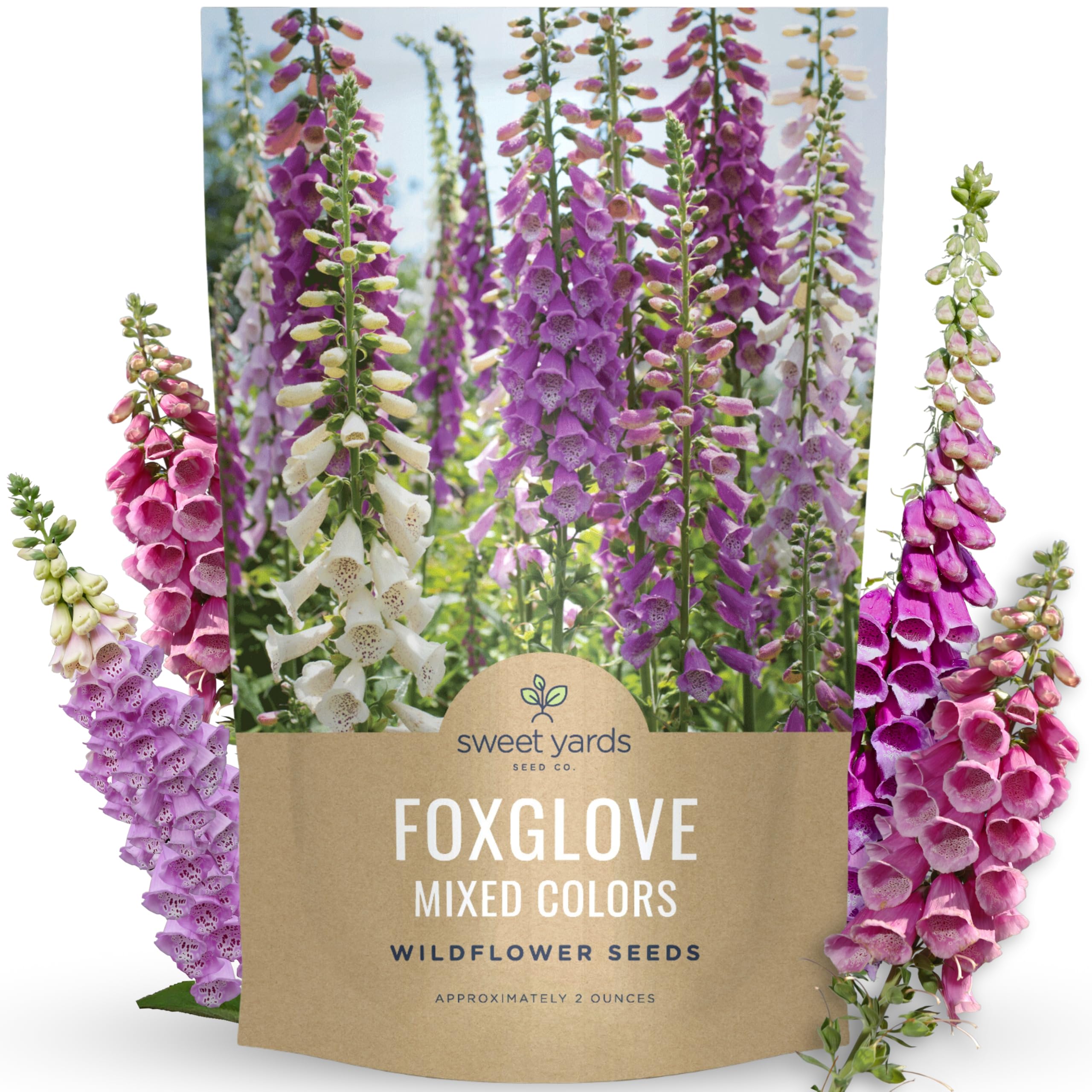 Sweet Yards Foxglove Mixed Colors