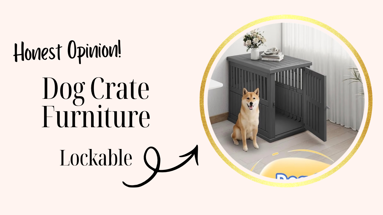 Curated visual reference: Fresh Look at Watch A Dog Crate That Looks Like Furniture And Goes