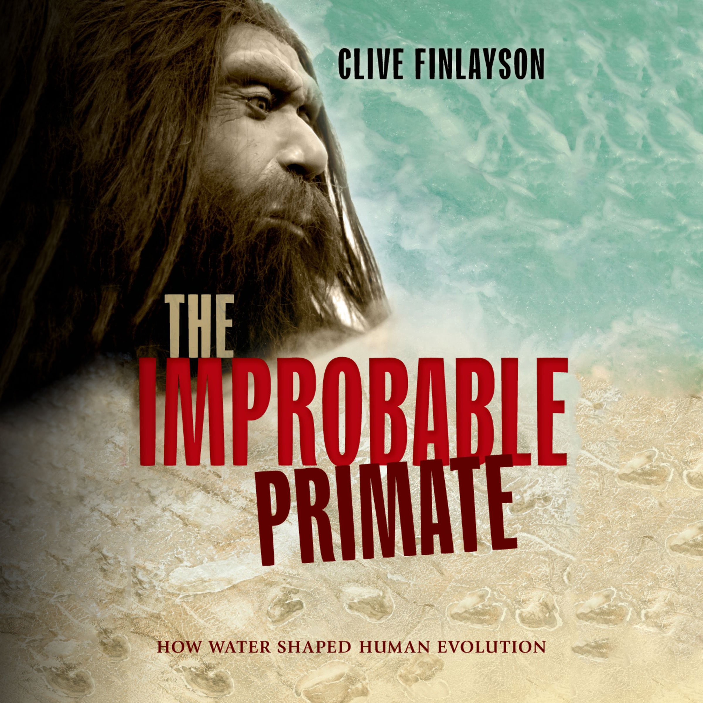 Cover art for The Improbable Primate