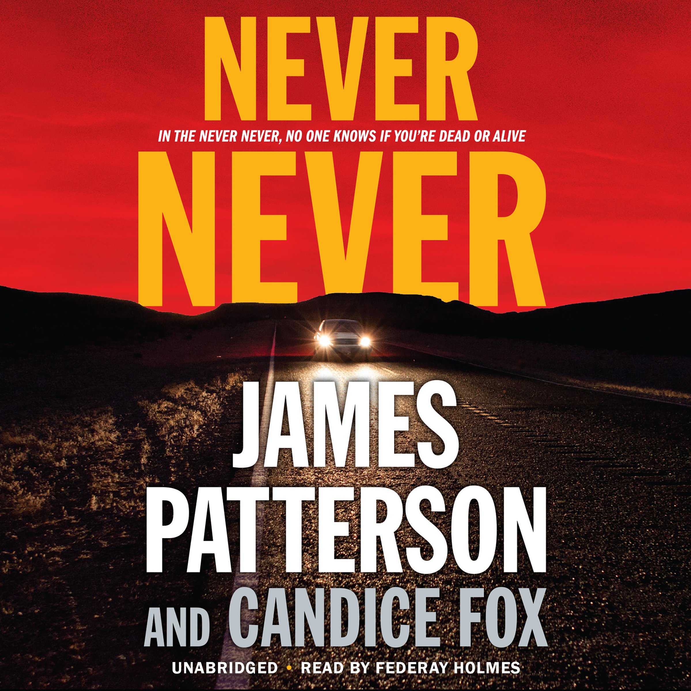 Cover art for Never Never