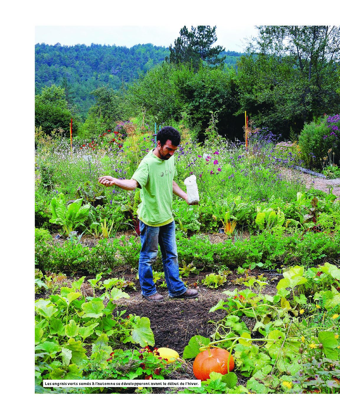 Le guide de l'autonomie au jardin: Savoir tout faire au potager, poulailler, rucher...