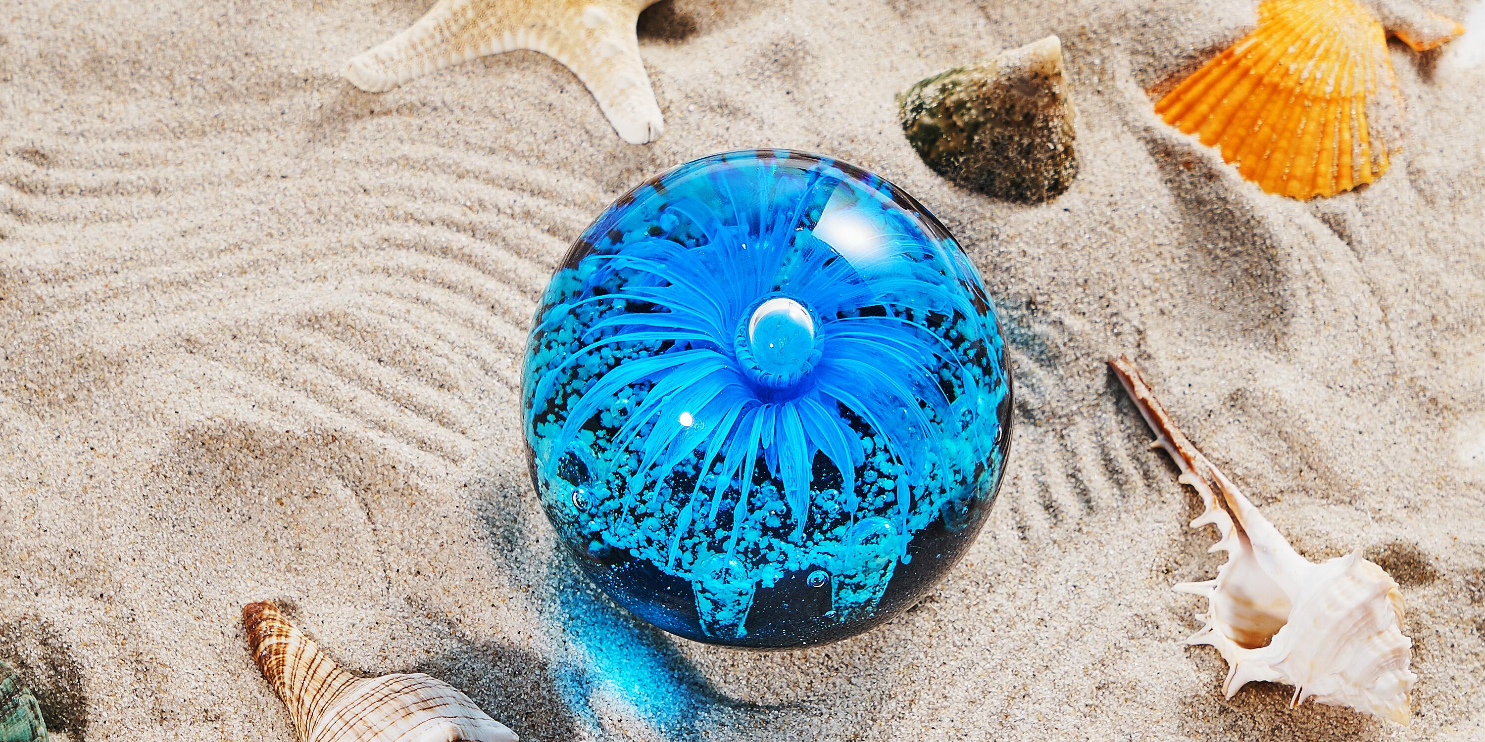 Amazon Co Jp 手吹きガラスの青い花の球の置物 紙の重量のガラス玉 水槽水族館の海の植物の装飾 誕生日プレゼントの海の植物のコレクション ガラスの文鎮 ホーム キッチン