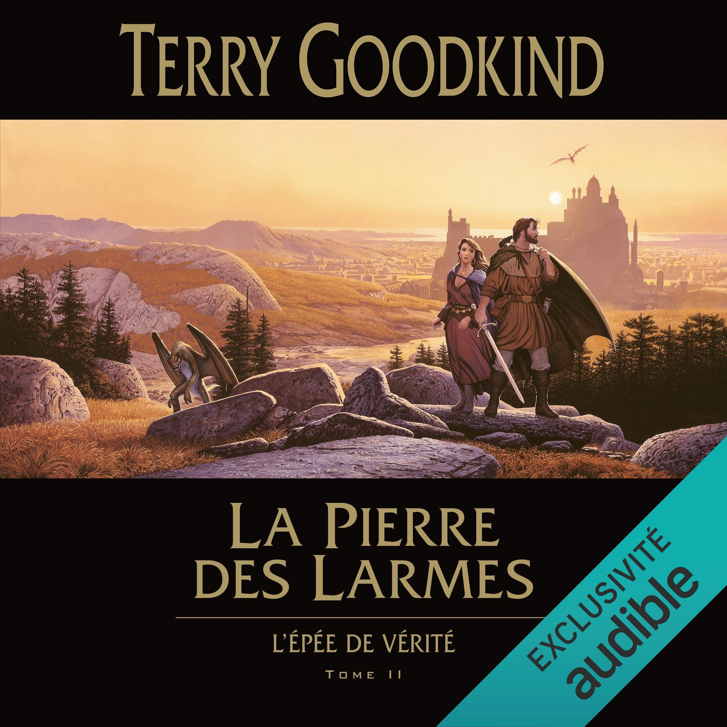 Cover art for La pierre des larmes
