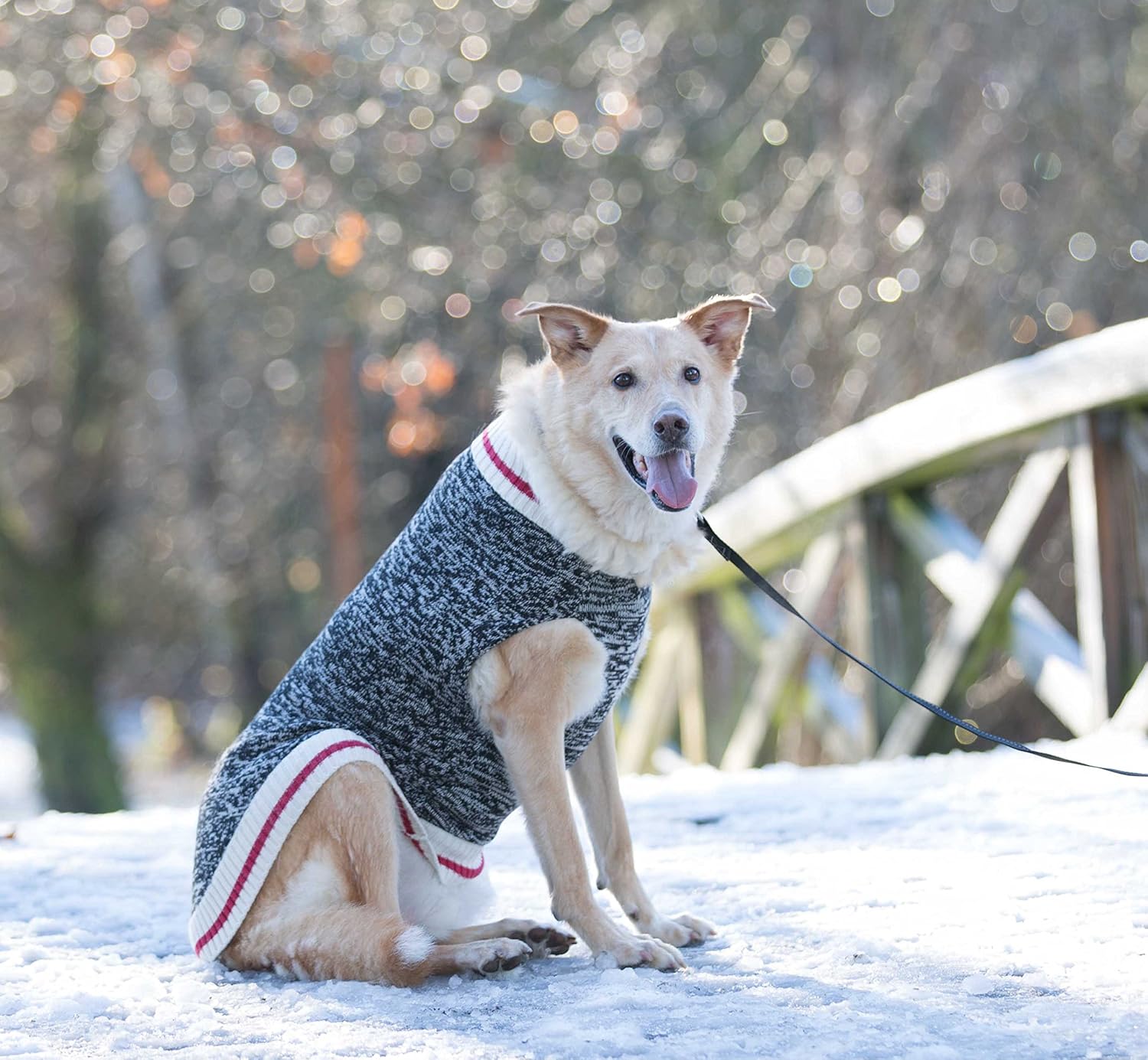 rc pets sweater