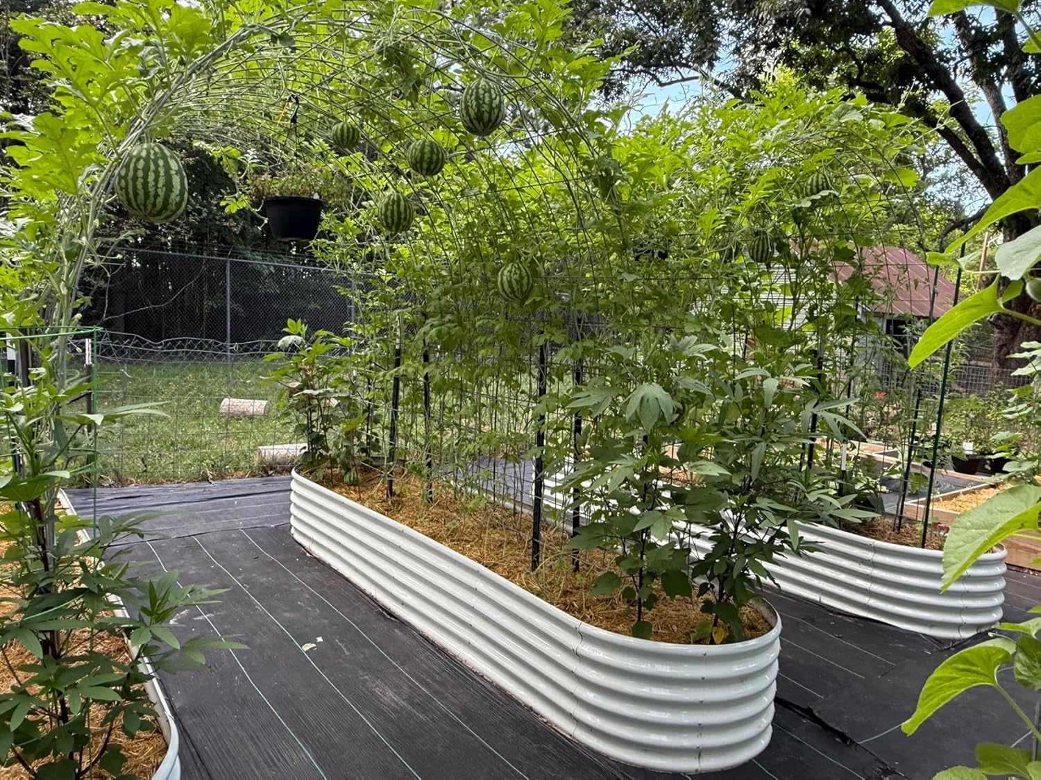 A ANLEOLIFE 6 Pcs 12X3X1.5 ft Oval Extra Large Galvanized Raised Garden Beds Outdoor for Planting Vegetables Flowers Herb, Antique White