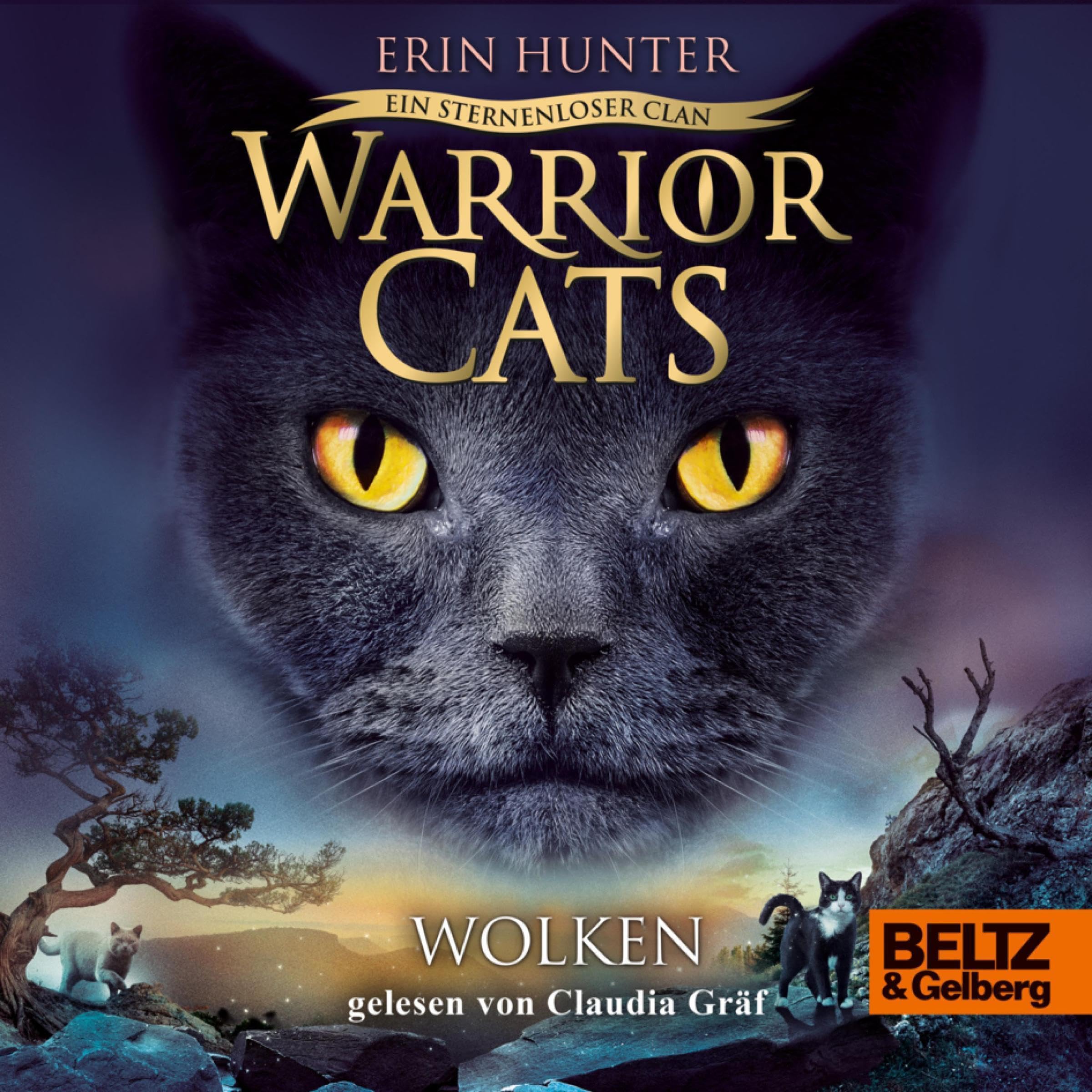 Cover art for Wolken