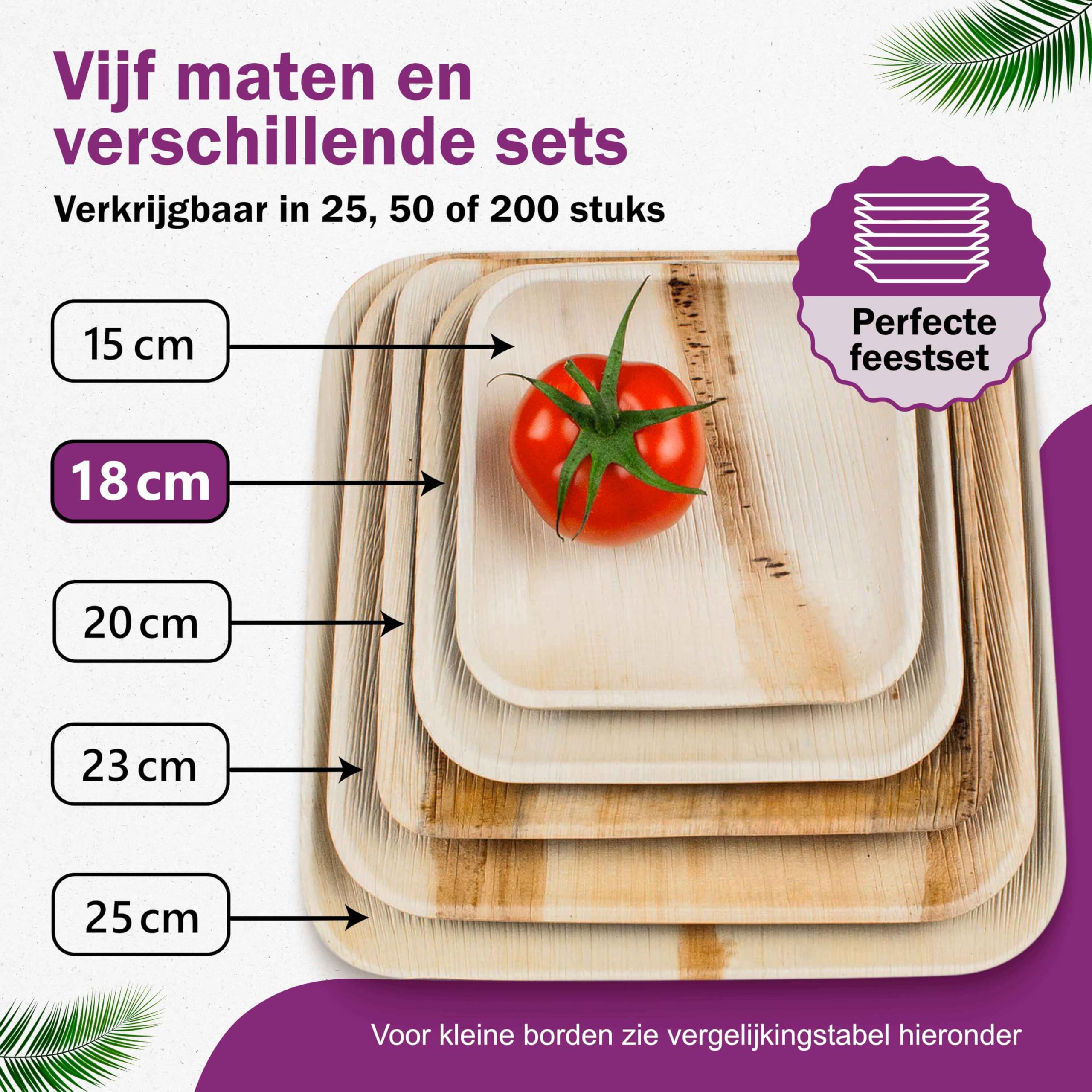 BIOZOYG Wegwerpborden, 50 stuks, 24 x 15 cm, palmblad, wegwerpservies, rechthoekig en composteerbaar, wegwerpfeestservies, alternatief voor plastic borden
