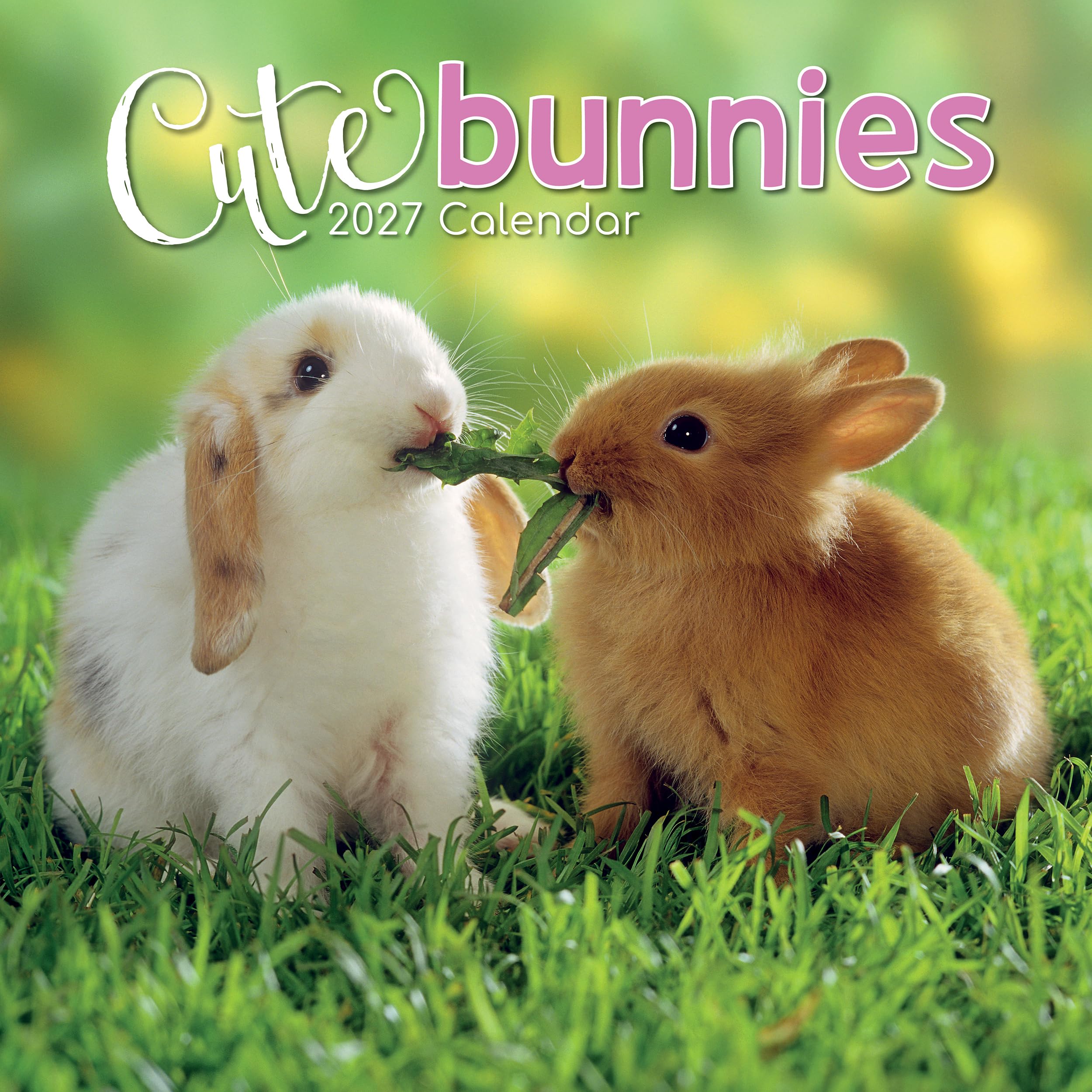 TGSC | Cute Bunnies 2027 Calendar 16 Month Square Wall Calendar 2027 UK | Planner for Home or Office Organisation - Cute Bunnies Calendar