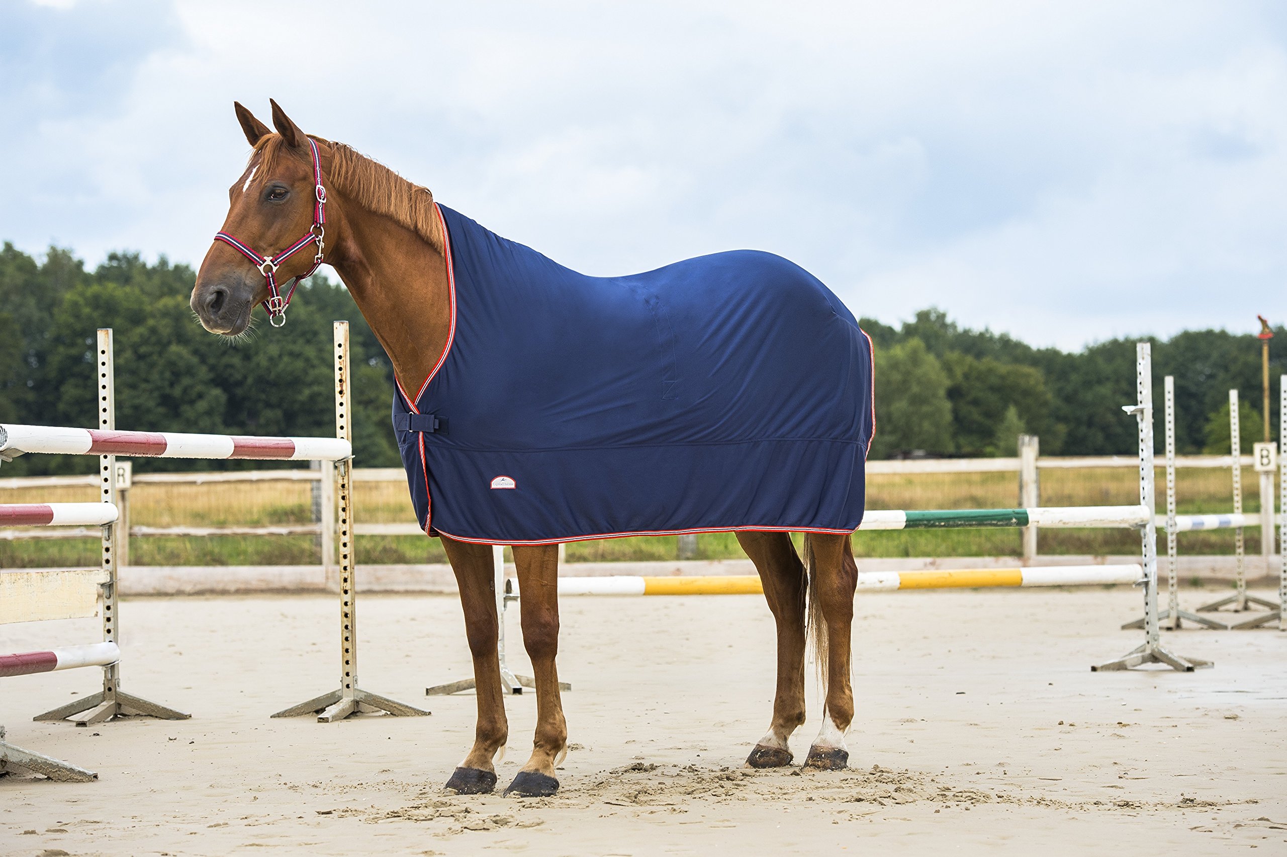 Equi-Theme/Equit'M Microfleece, Lenzuolo Collo Alto in Micropile Unisex-Adulto