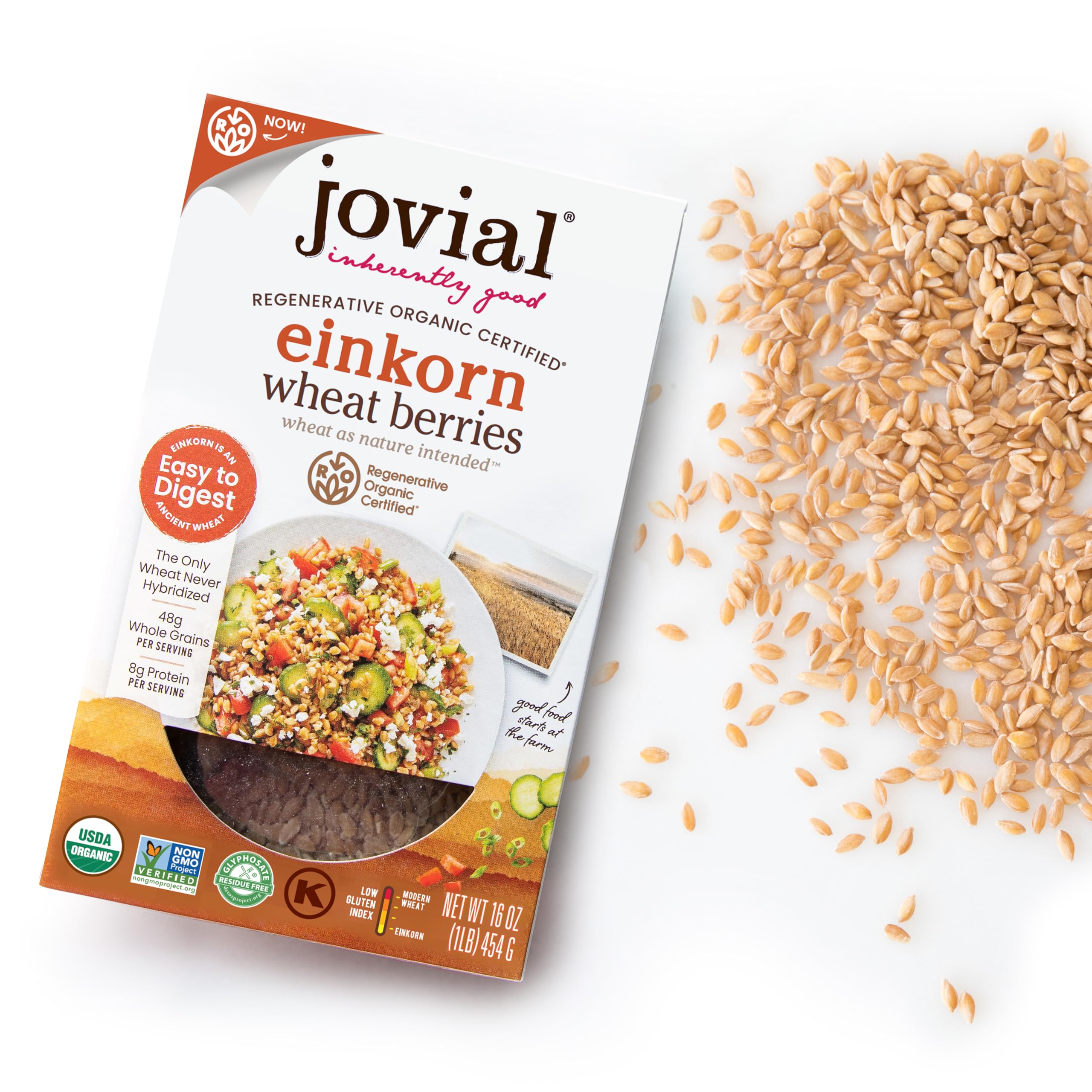 Jovial Einkorn 100% Organic Wheat Berries - Einkorn Berries, Organic Wheat Berries, High Protein, Non-GMO, USDA Certified Organic, Lower Carb, Whole Grain, Product of Italy - 16 Oz