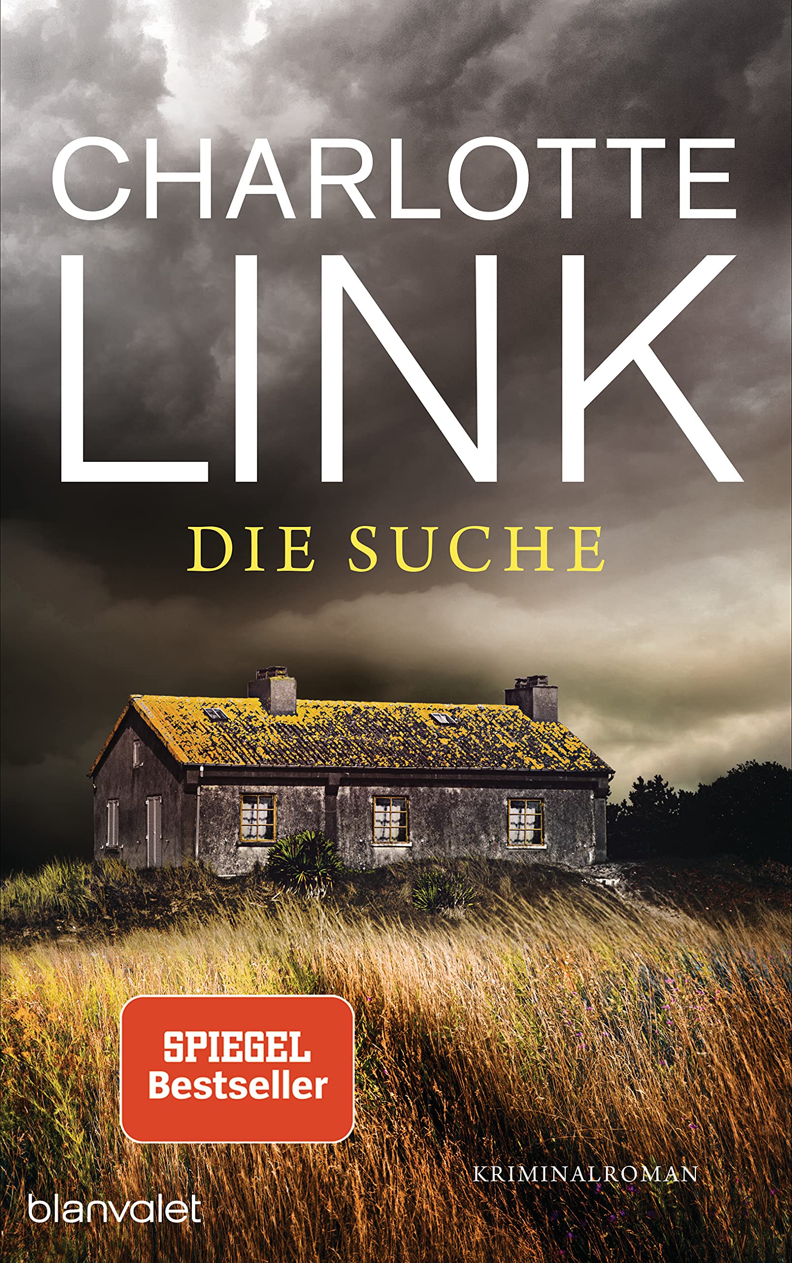 Die Suche: Kriminalroman (Kate Linville & Caleb Hale, 2)