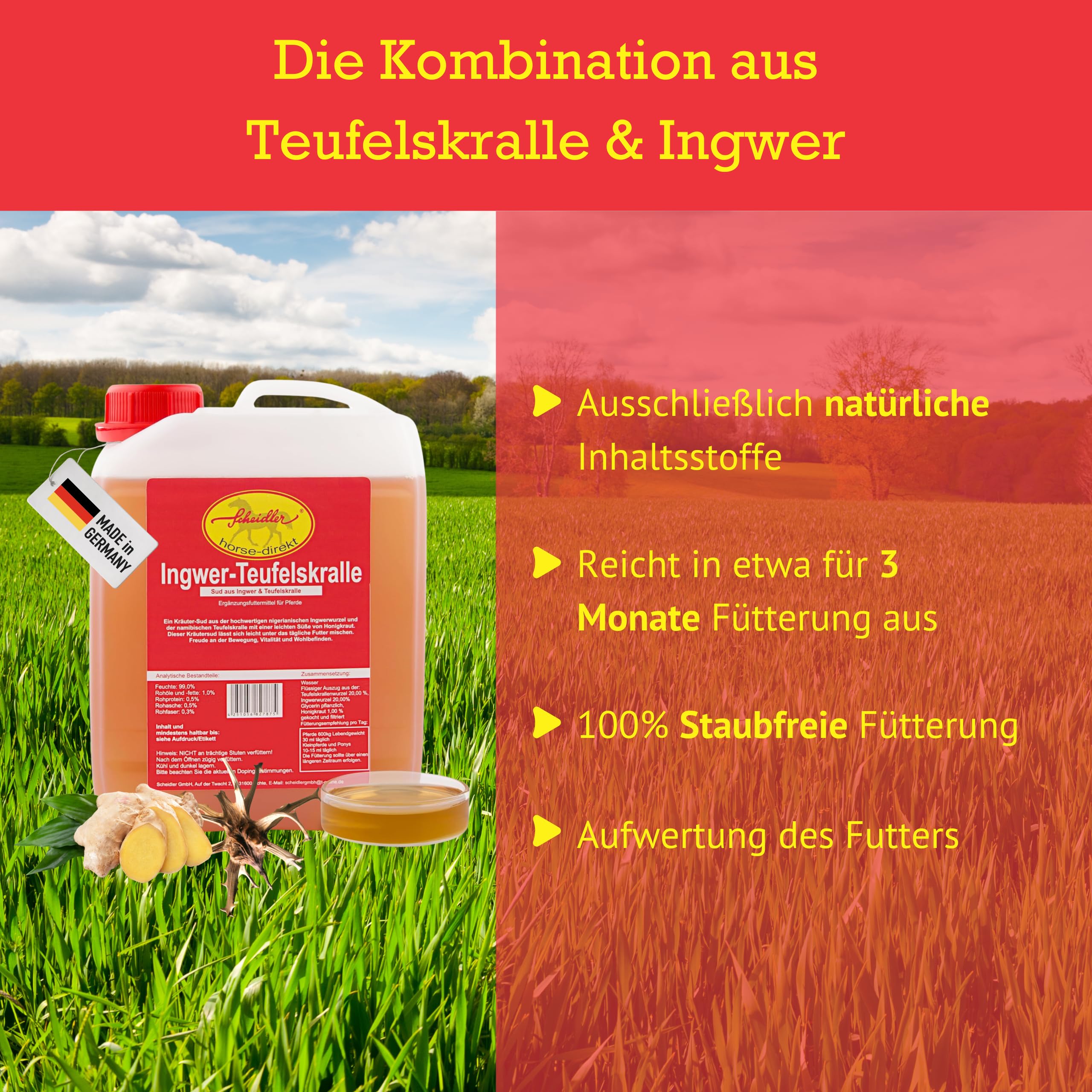 Scheidler horse-direkt Ingwer-Teufelskralle Liquid für Pferde 2500ml – Natürliches Ergänzungsfutter – Alternative zu Pulver/Pellets – Premium Sud aus Teufelskralle- Qualität aus Deutschland