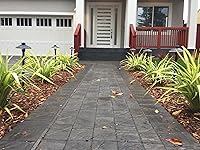 Vista 2 de MarsLG ALS1 - Luz de aluminio de bajo voltaje para camino y área con pantalla de 6.5 pulgadas y vástago de 18 pulgadas en acabado negro, pico