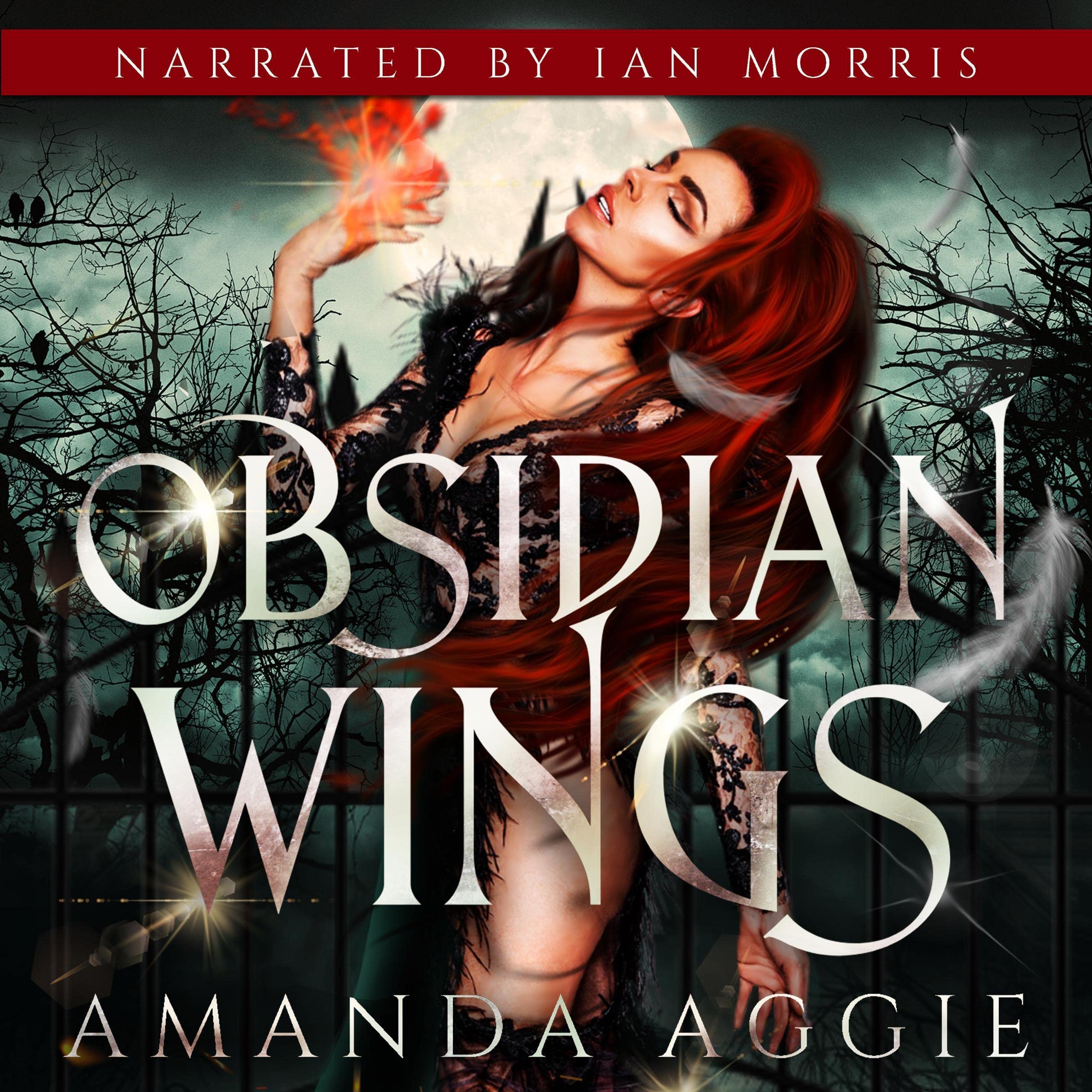 Cover art for Obsidian Wings