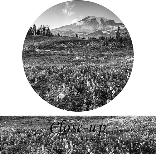 Miniatura 5 de KREATIVE ARTS Lienzo decorativo extra grande de 7 paneles para pared, diseño de parque nacional Rainier al amanecer, pintura de paisaje, impresión