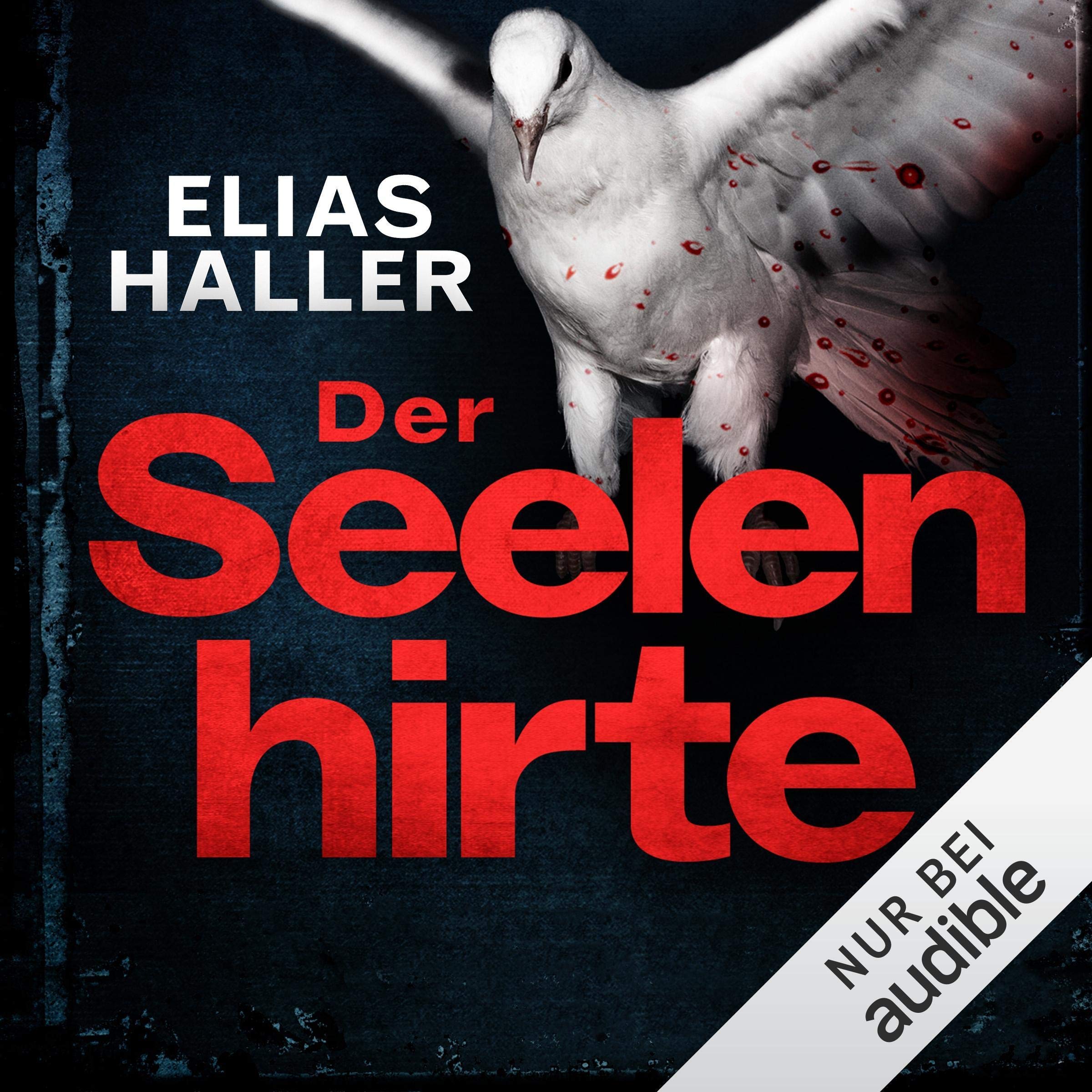 Cover art for Der Seelenhirte