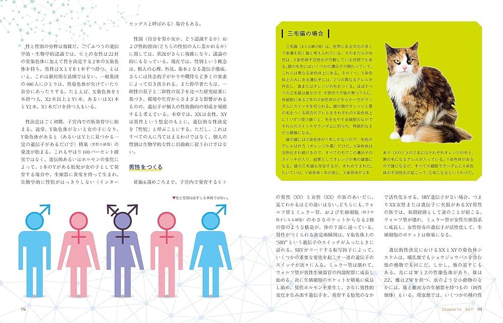 ビジュアルで見る 遺伝子・DNAのすべて:身近なトピックで学ぶ基礎構造