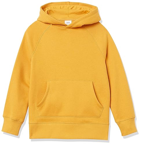 Amazon Essentials Boys and Toddlers' Fleece Pullover Hoodie Sweatshirts