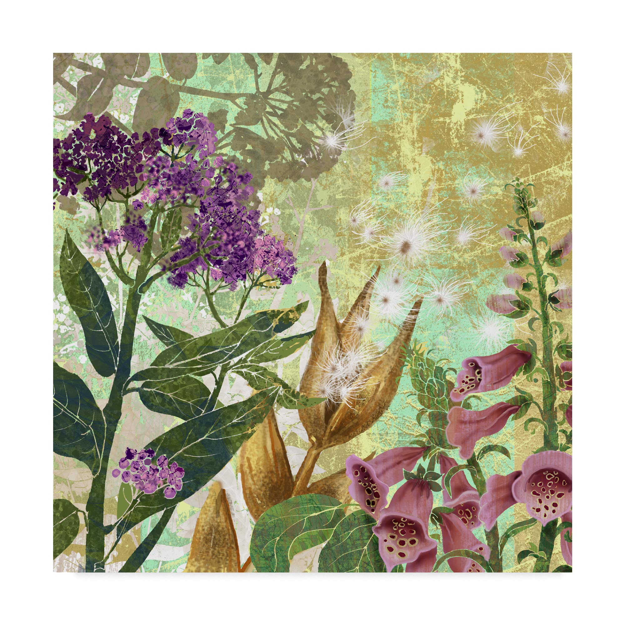 Trademark Fine ArtTrademark Fine Art Foxglove Meadow Ii by Roberta Collier-Morales, 18x18-Inch