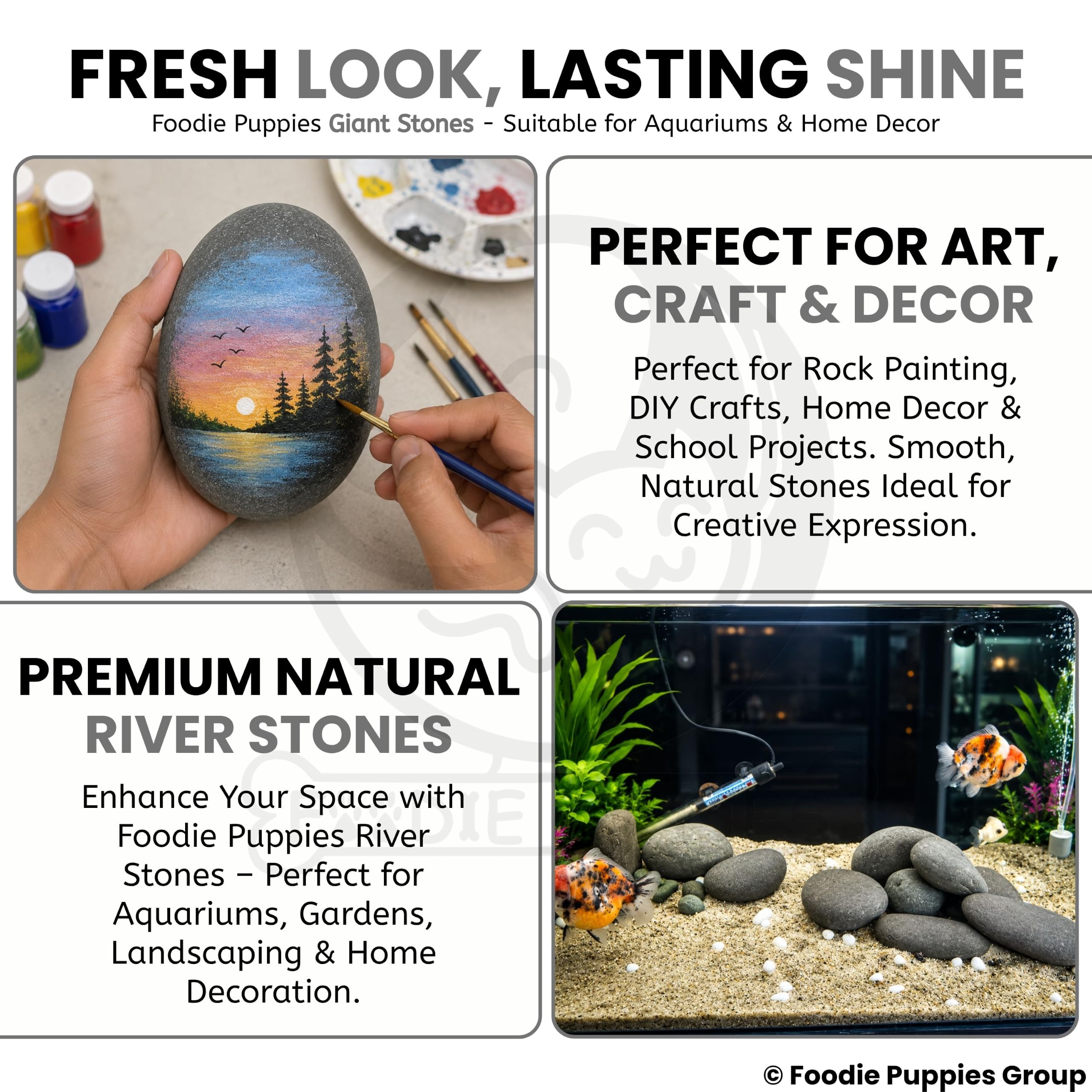 Foodie Puppies Large Size Oval Shape (Giant Stone, Pack of 2) (9cm - 11cm) Pebble Natural Attractive Quality Decorative Substrate Stones for Aquarium Tank Pot Garden and Home Decorations 4