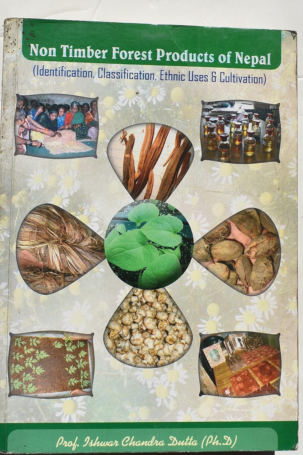 Non Timber Forest Products of Nepal: Ishwar Chandra Dutta ...