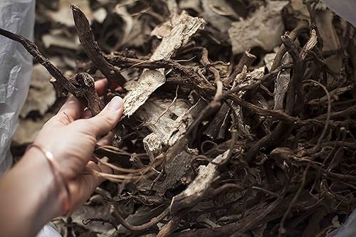 Miniatura 6 de Maui Medicinal Herbs Hawaiian Kava Powder 8oz