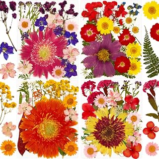 Augshy Pressed Dried Flowers, 92Pcs Real Natural Dried Flowers for Resin Molds Big Colorful Dry Pressed Floral for Crafts DIY Jewelry, Soap Making, Scrapbooking, Candle, Epoxy Resin Supplies